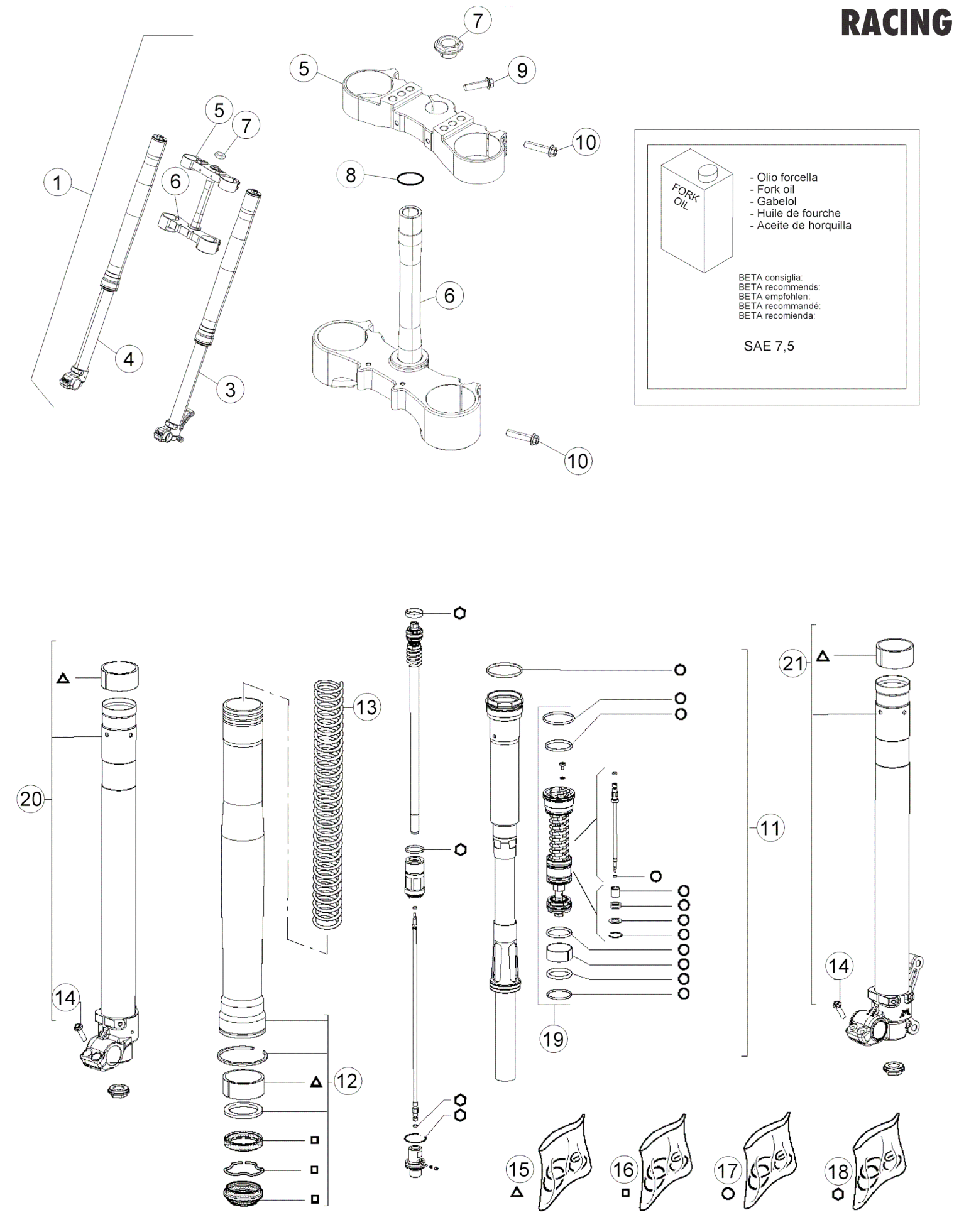 FRONT FORK (RACE)