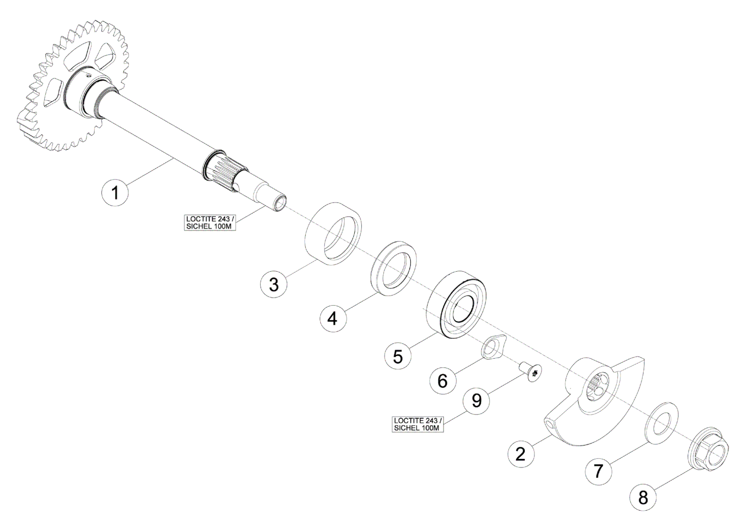 BALANCE SHAFT