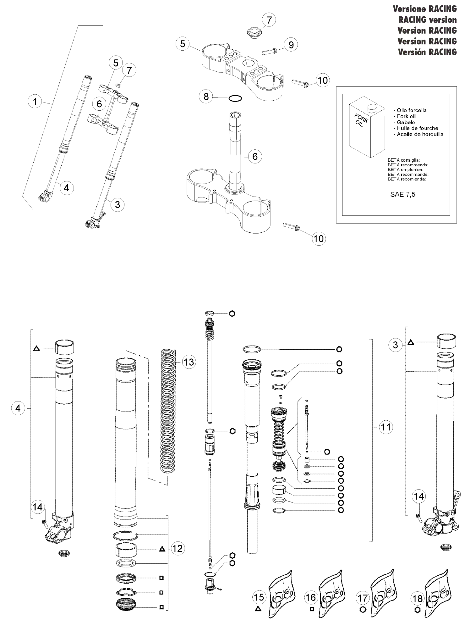 FRONT FORK (RACE)