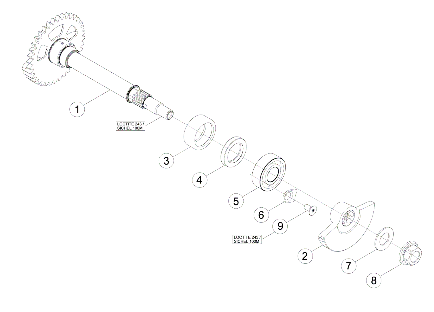 BALANCE SHAFT