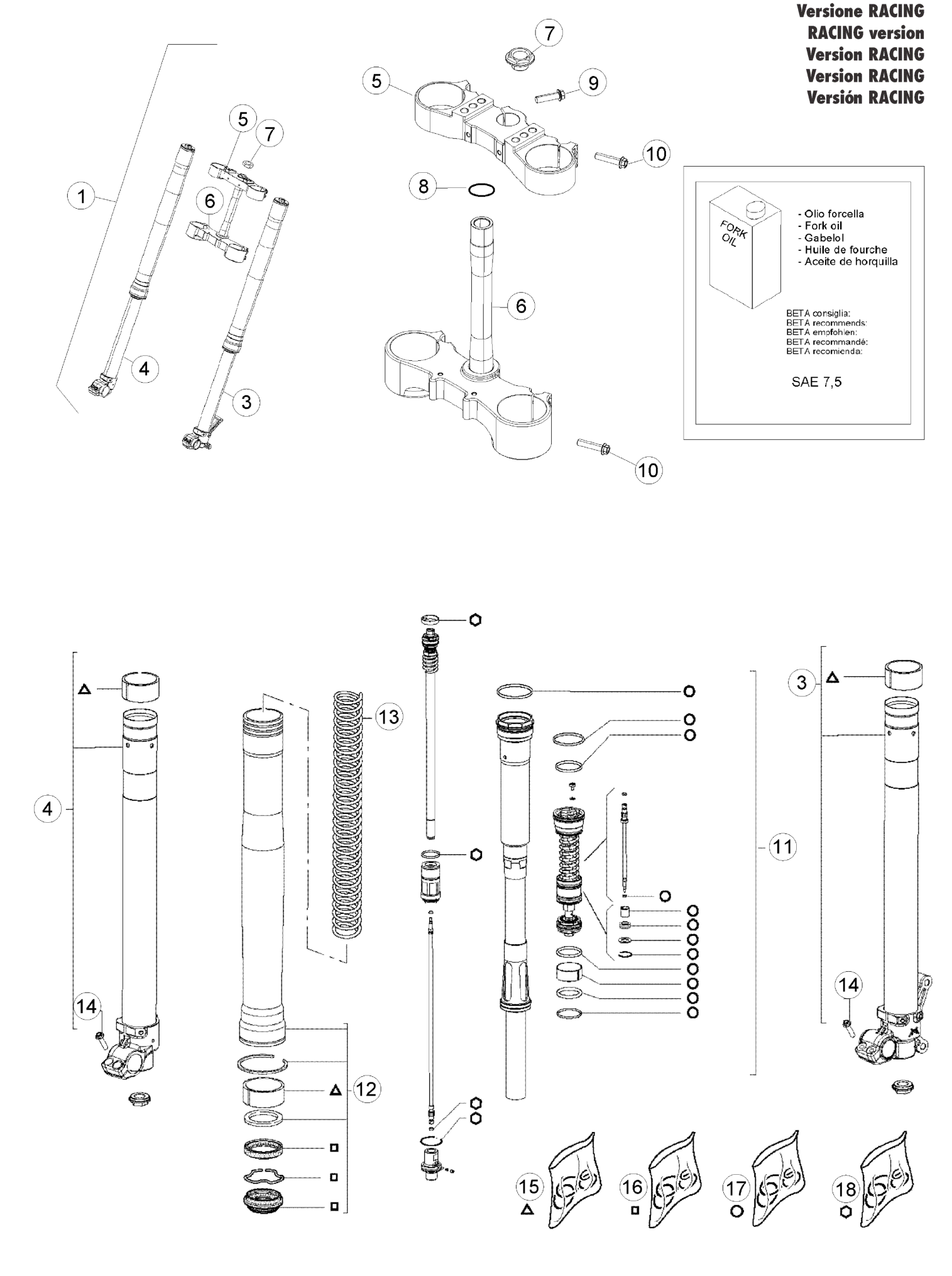 FRONT FORK (RACE)