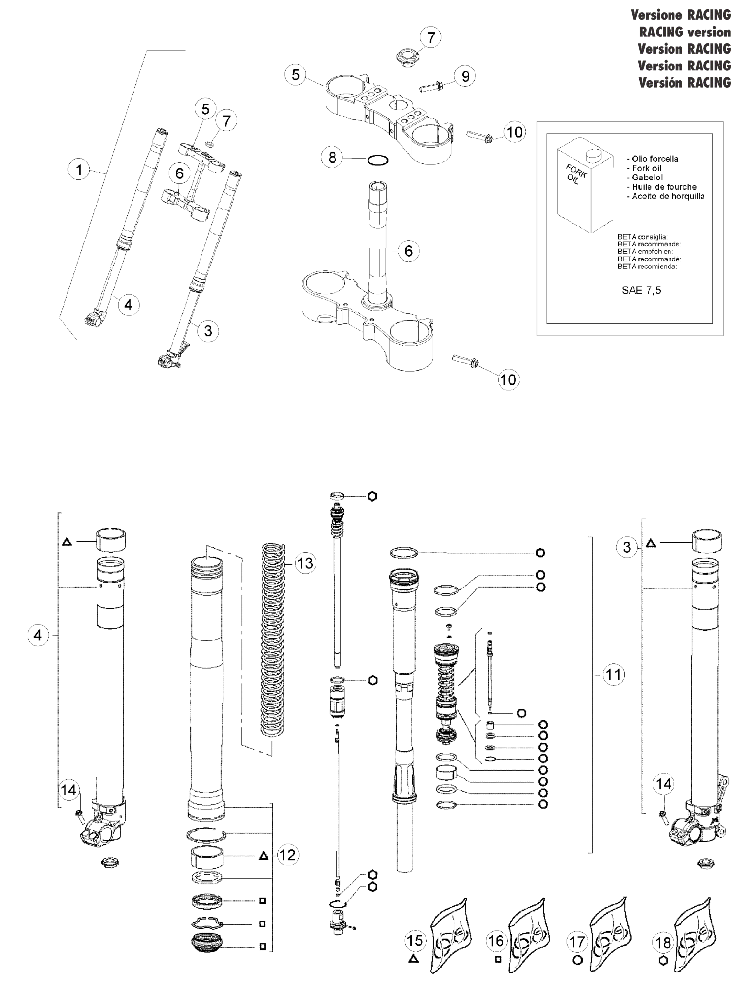 FRONT FORK (RACE)