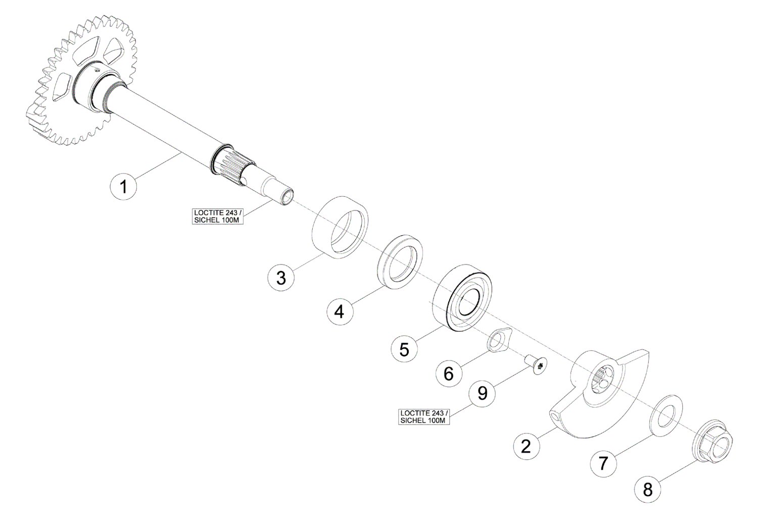 BALANCE SHAFT