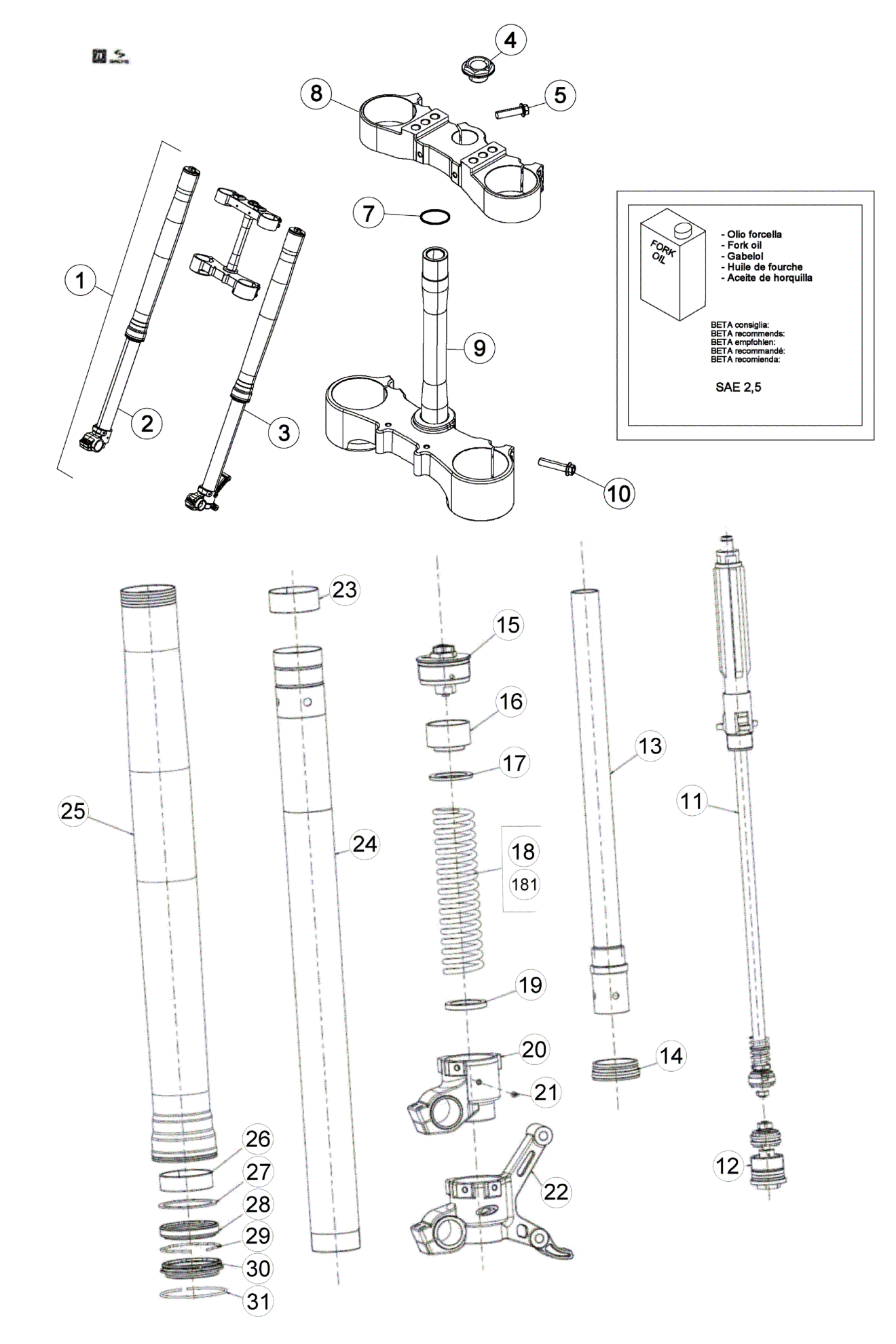 FRONT FORK (STD)
