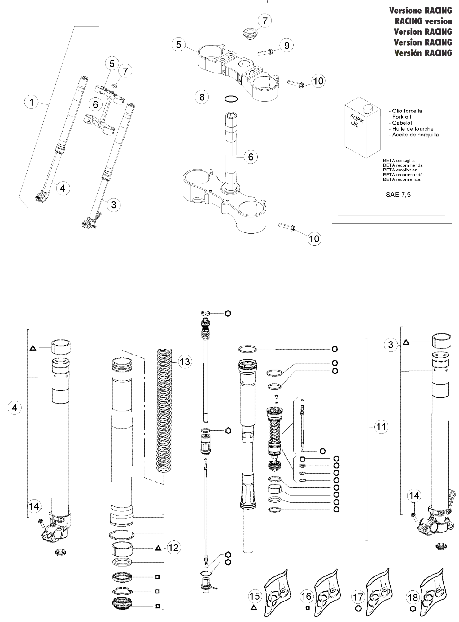 FRONT FORK (RACE)