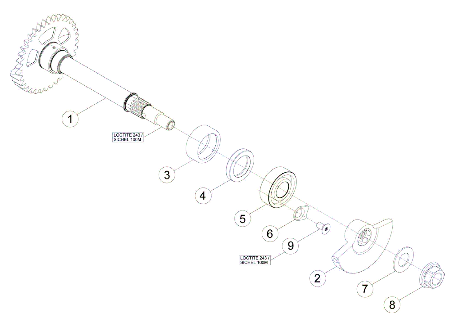 BALANCE SHAFT