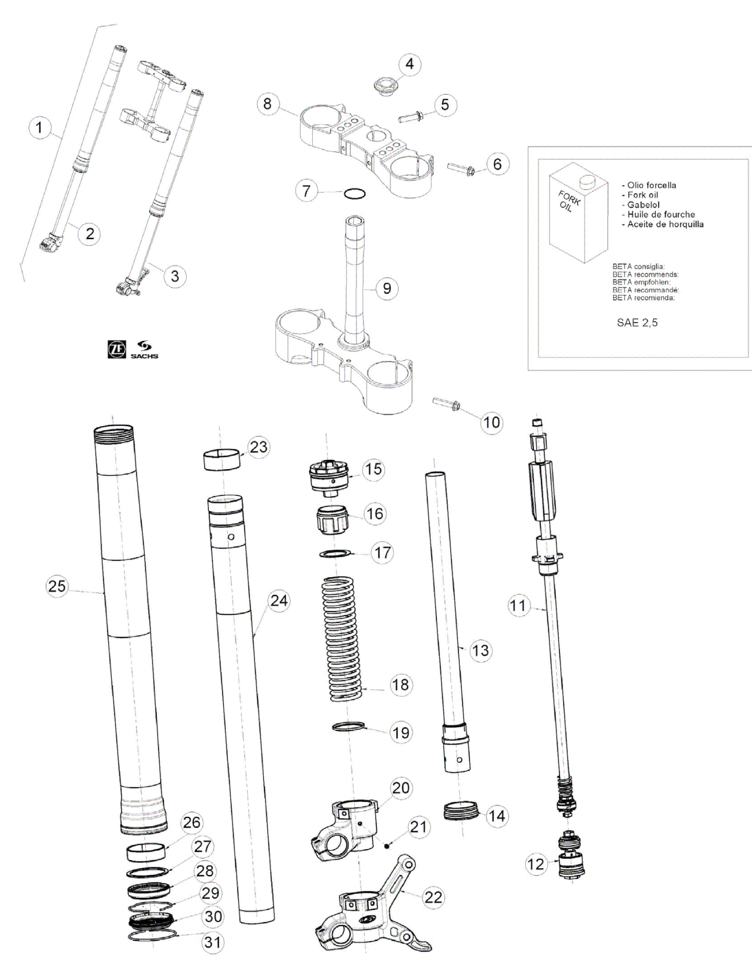 FRONT FORK (STD)