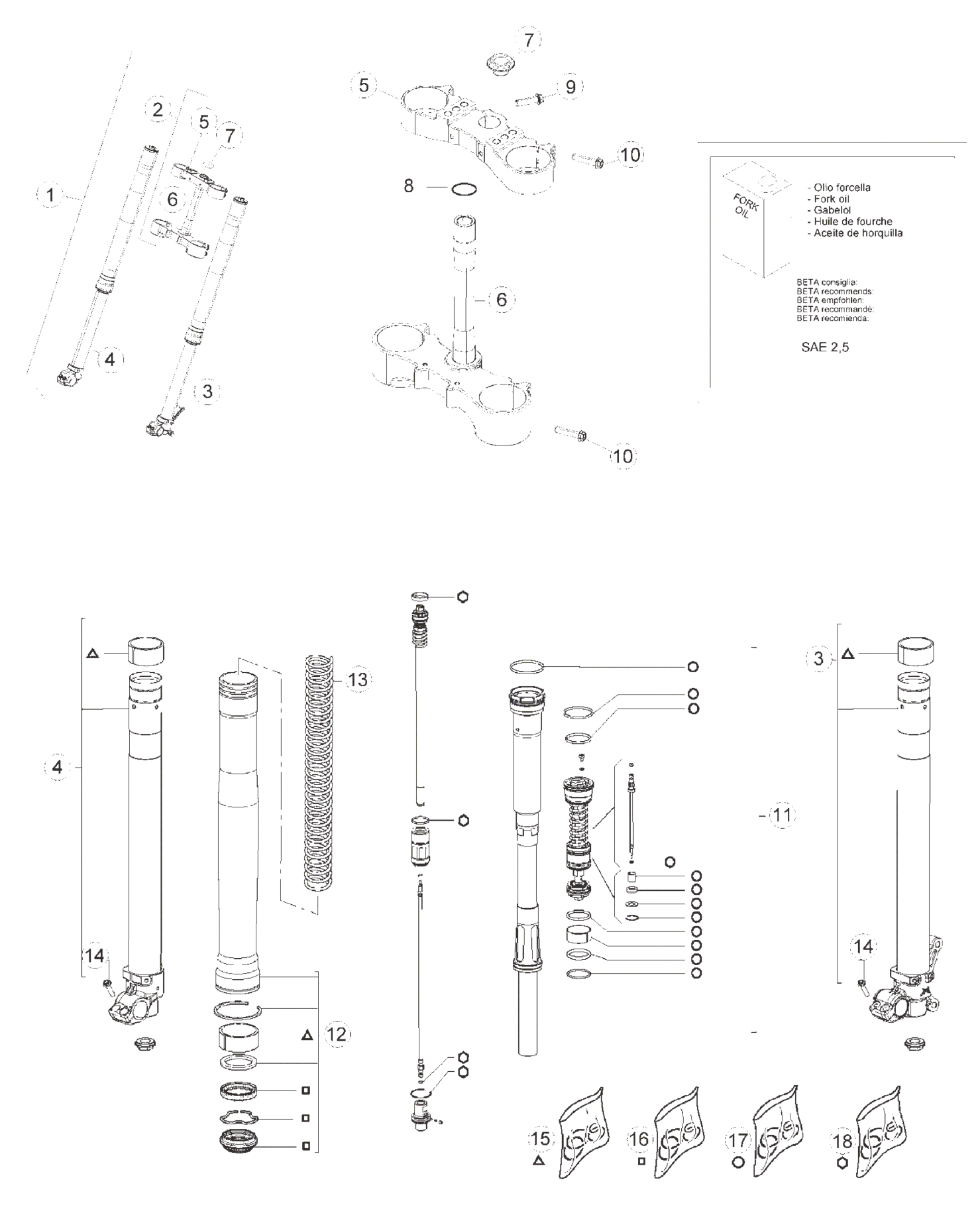 FRONT FORK (RACE)