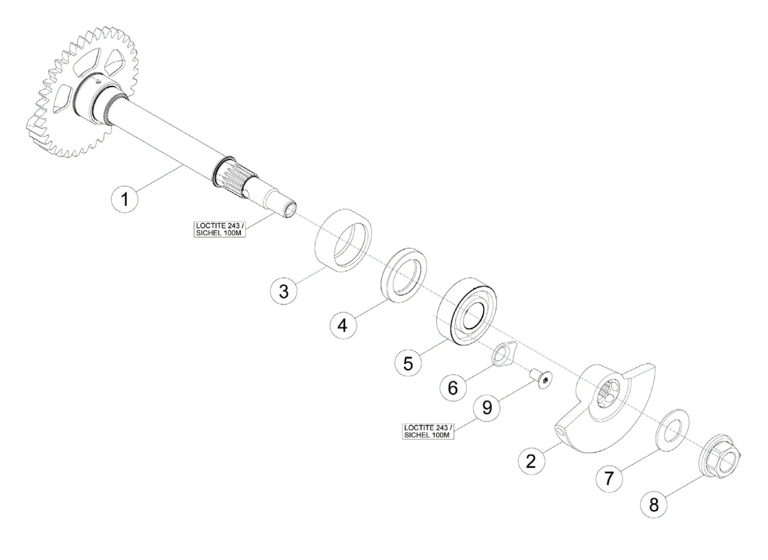 BALANCE SHAFT