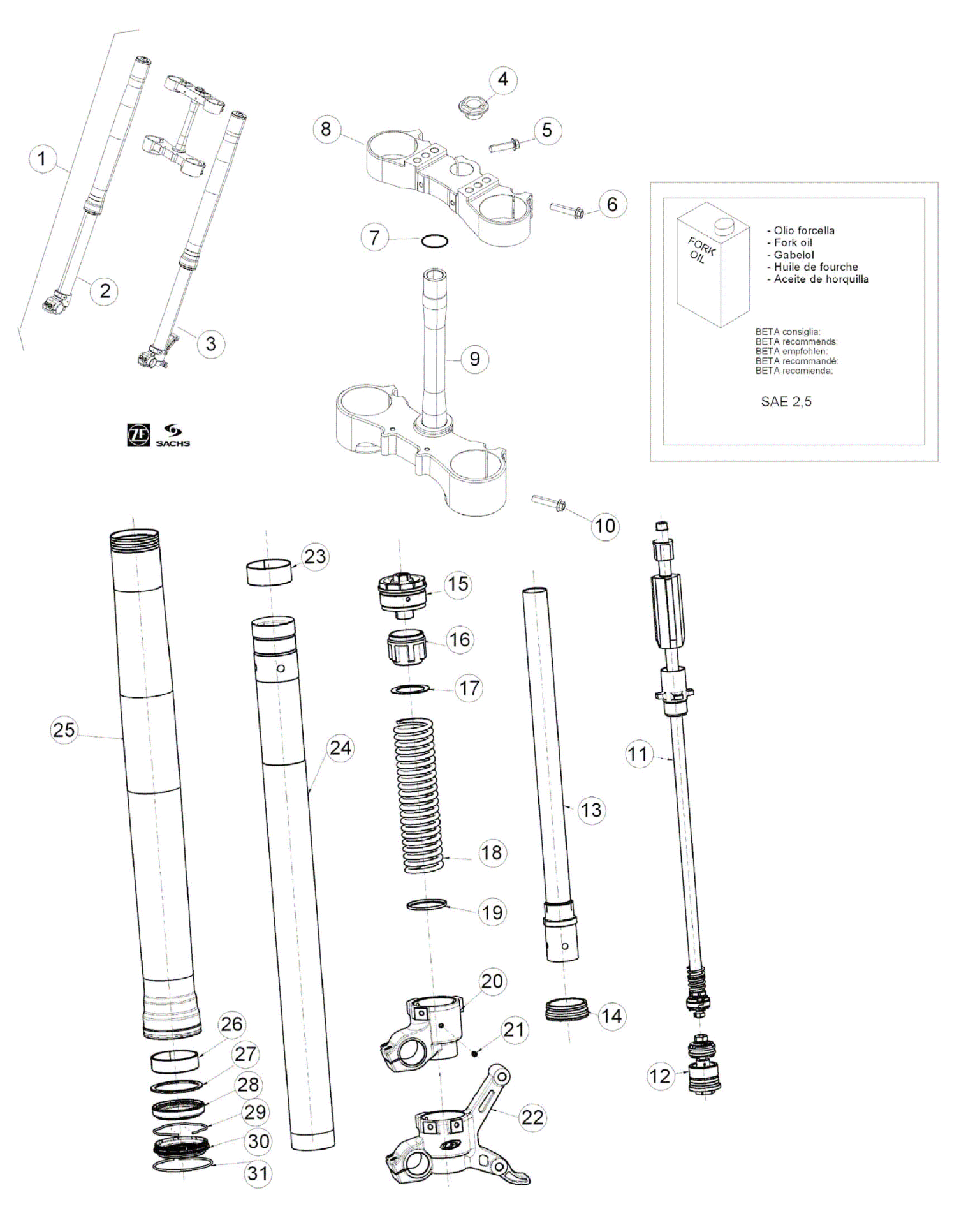 FRONT FORK (STD)