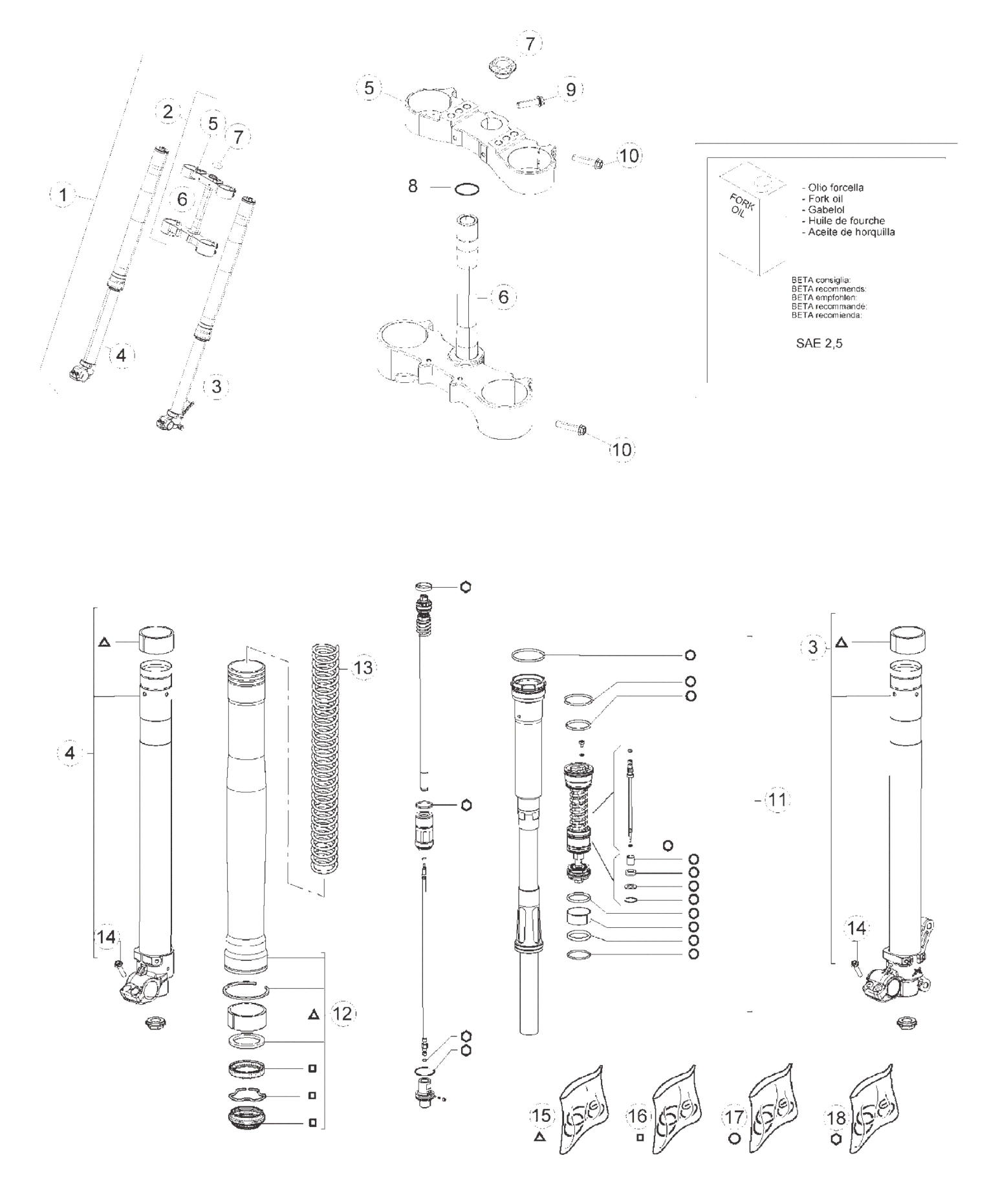 FRONT FORK (RACE)