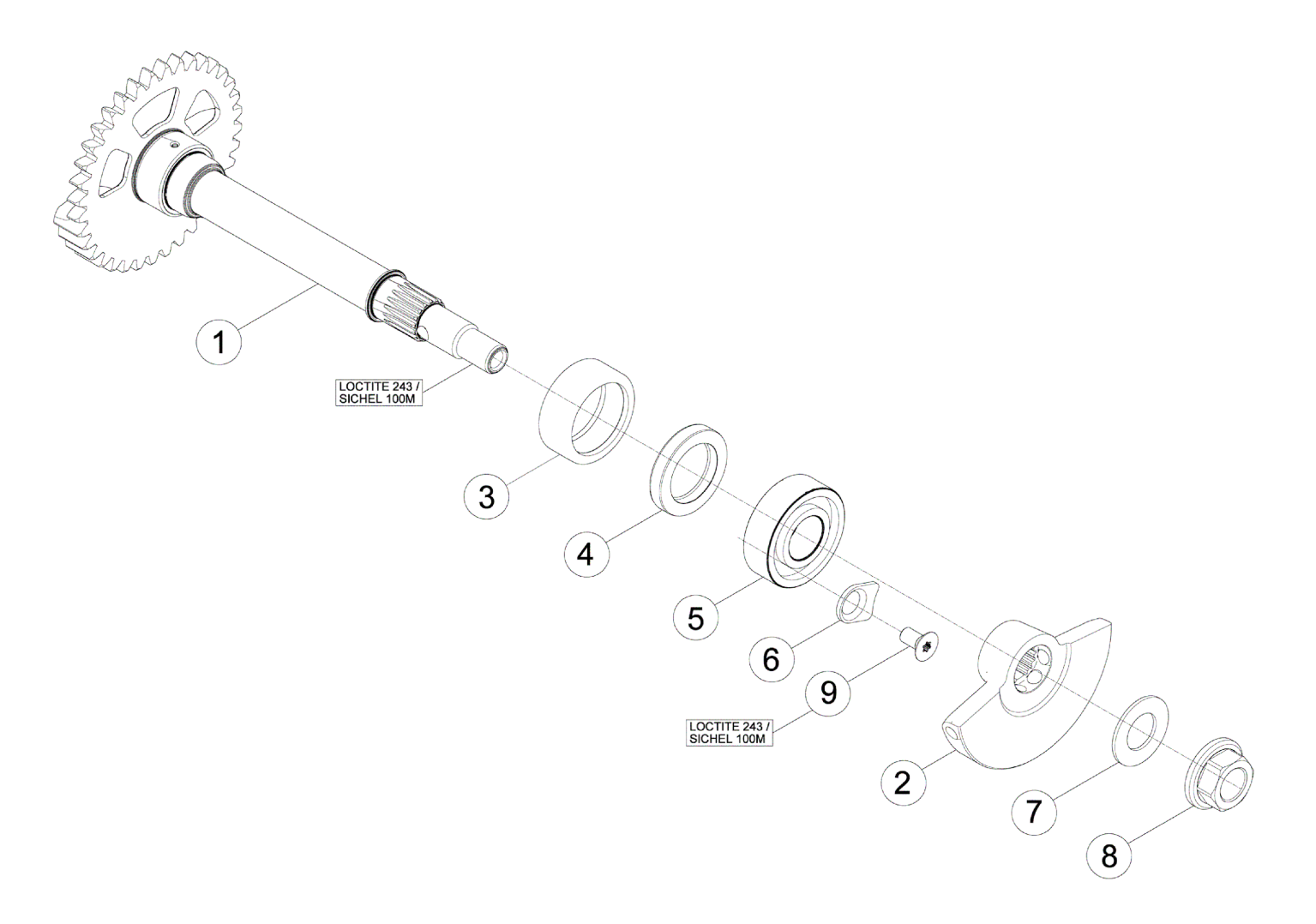 BALANCE SHAFT