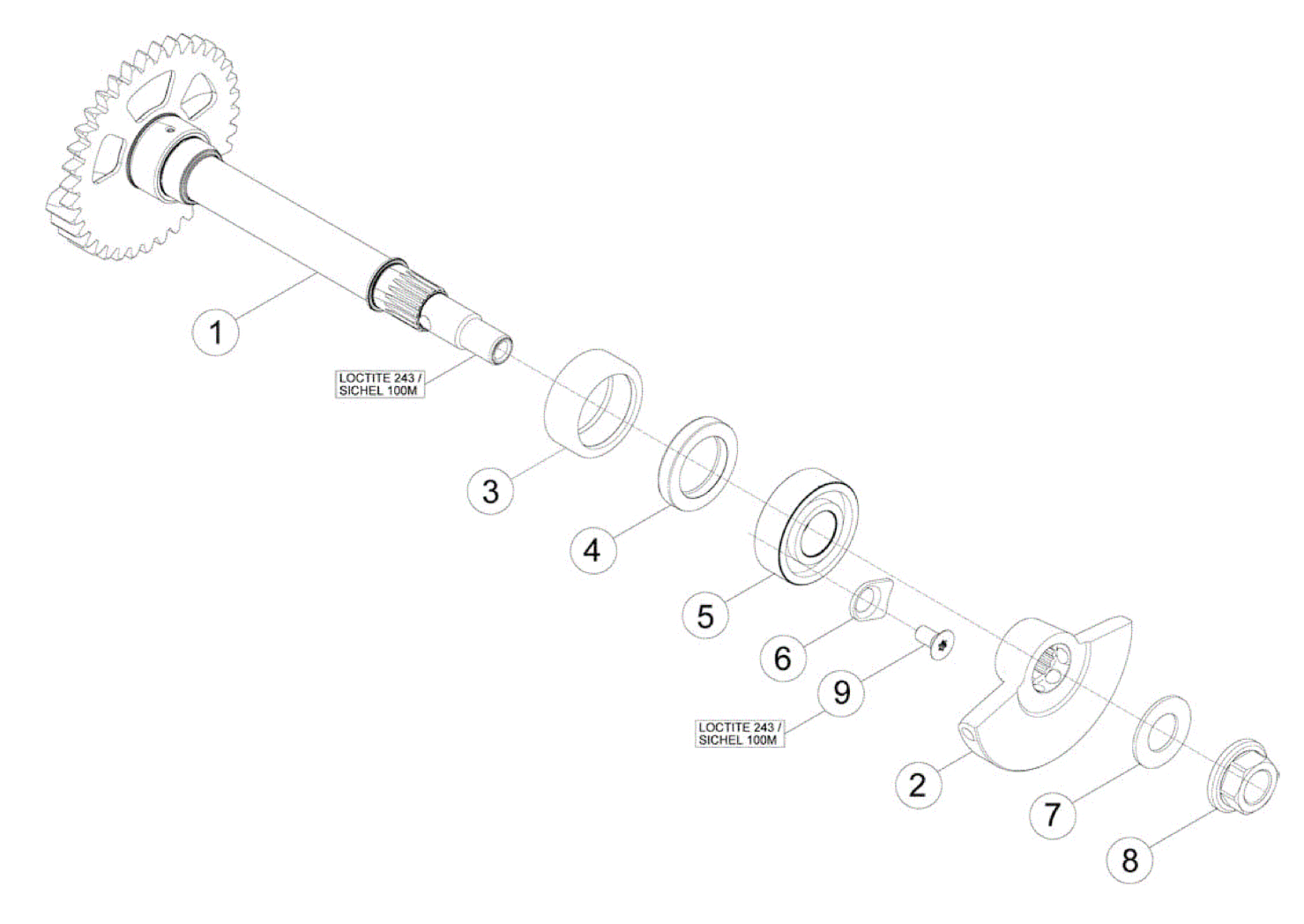 BALANCE SHAFT