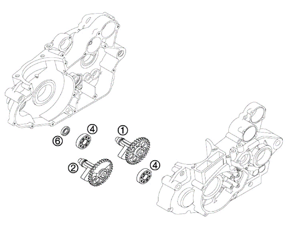 BALANCE SHAFT