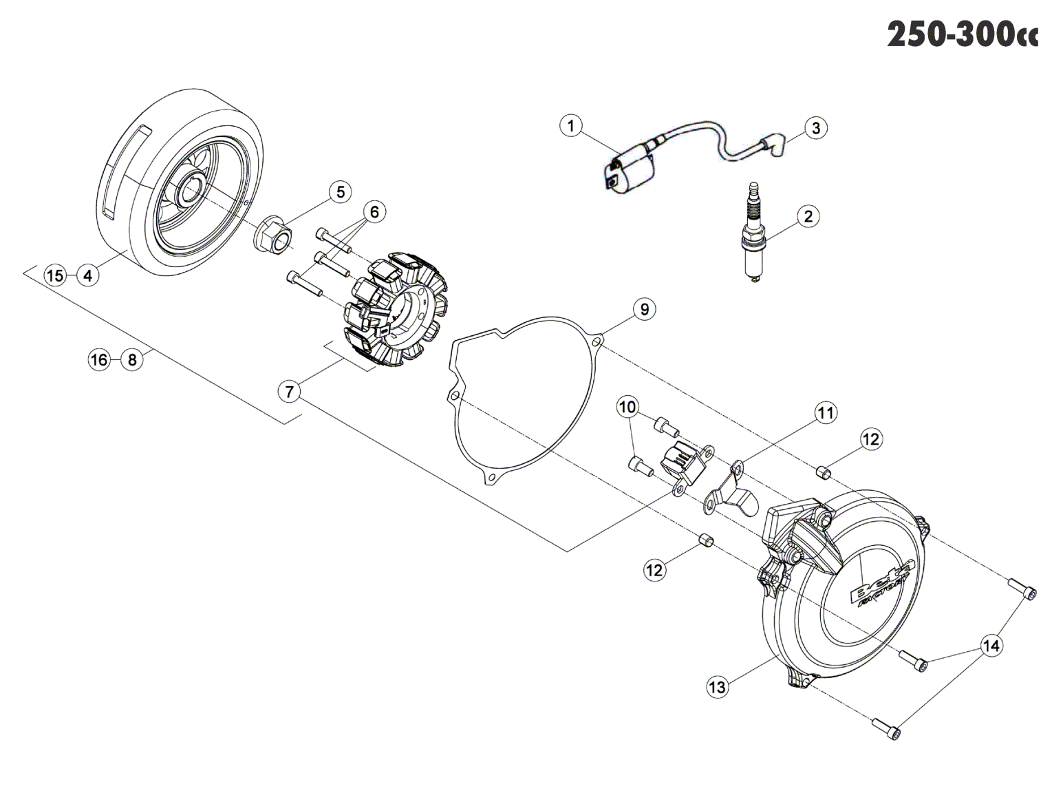 ENGINE ELECTRONICS 250-300