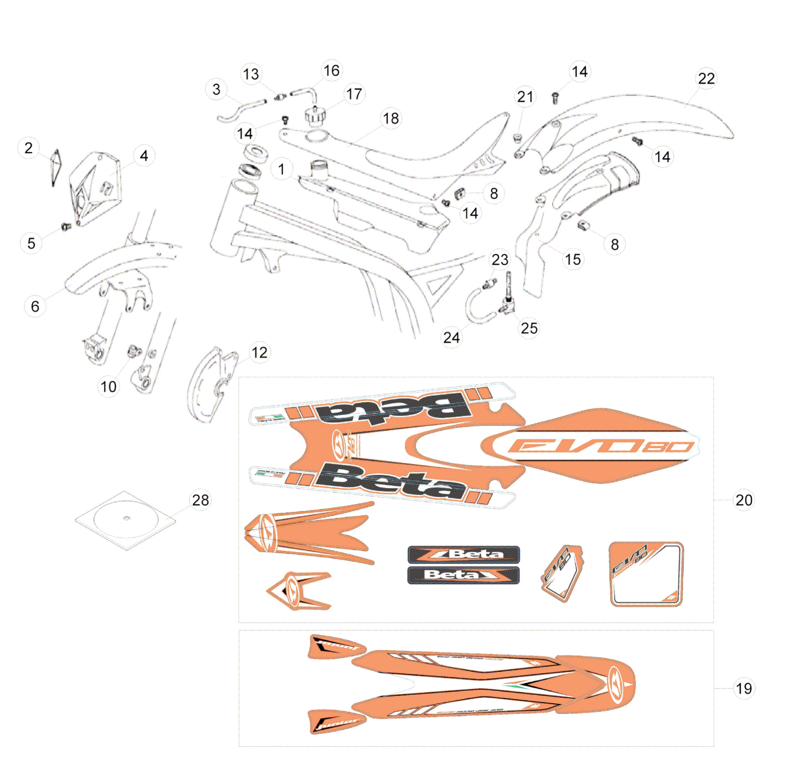 BODY - DECALS (SENIOR)