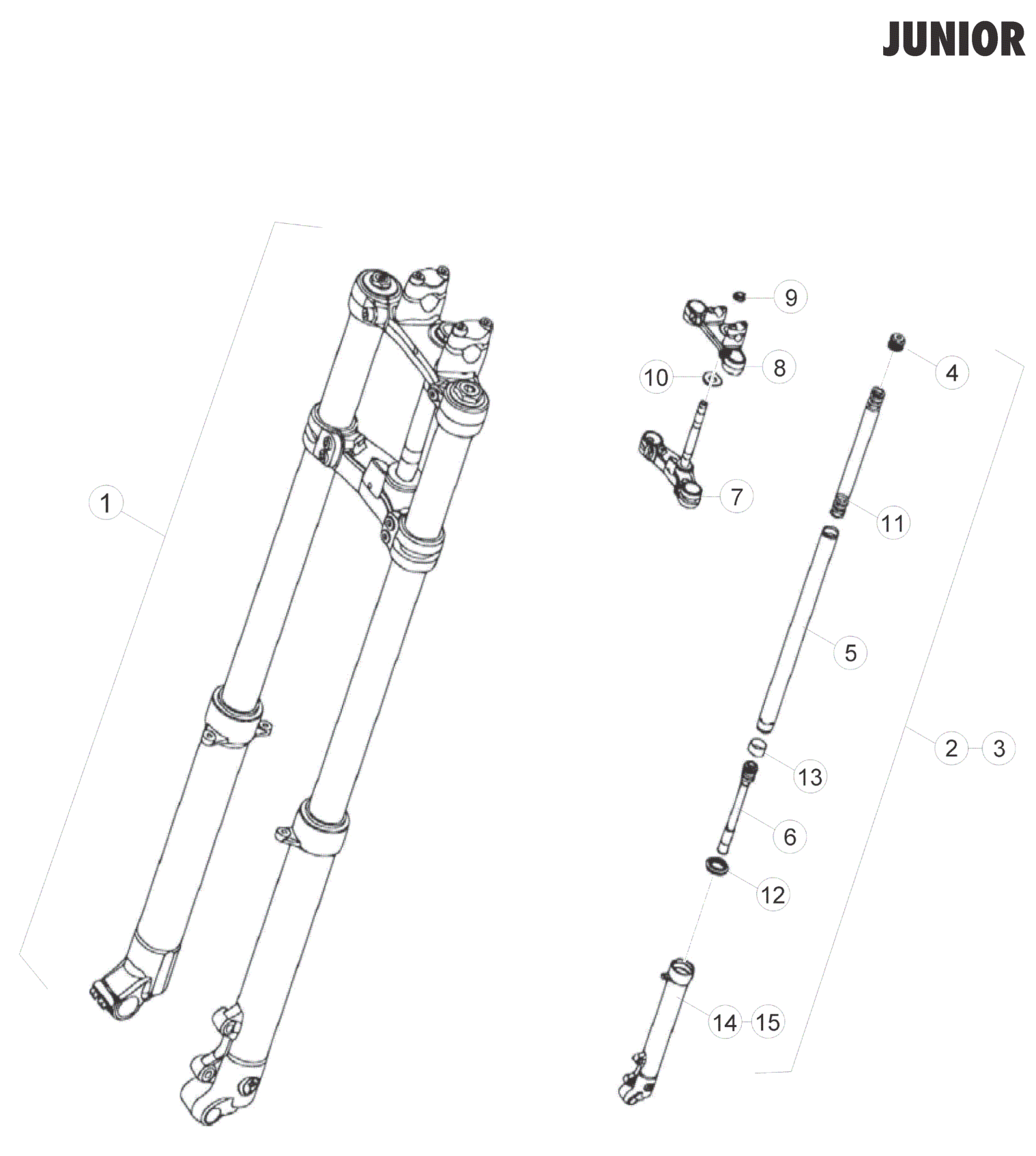 FRONT FORK (JUNIOR)