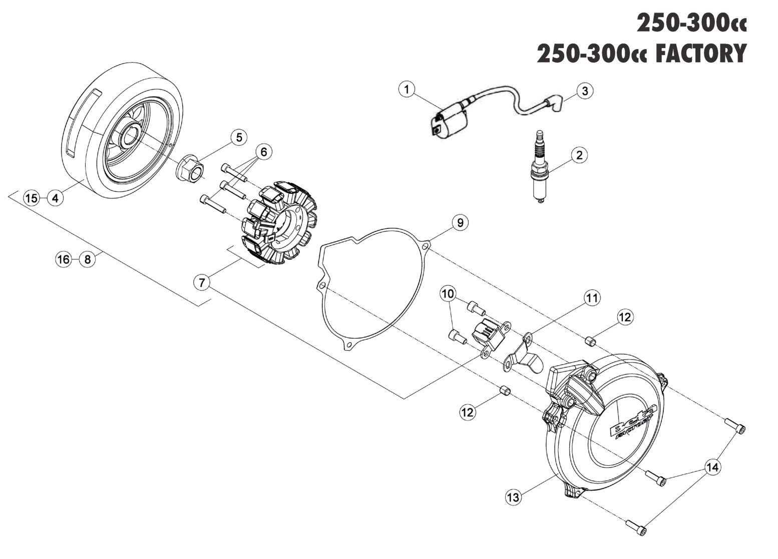 ENGINE ELECTRONICS 250-300