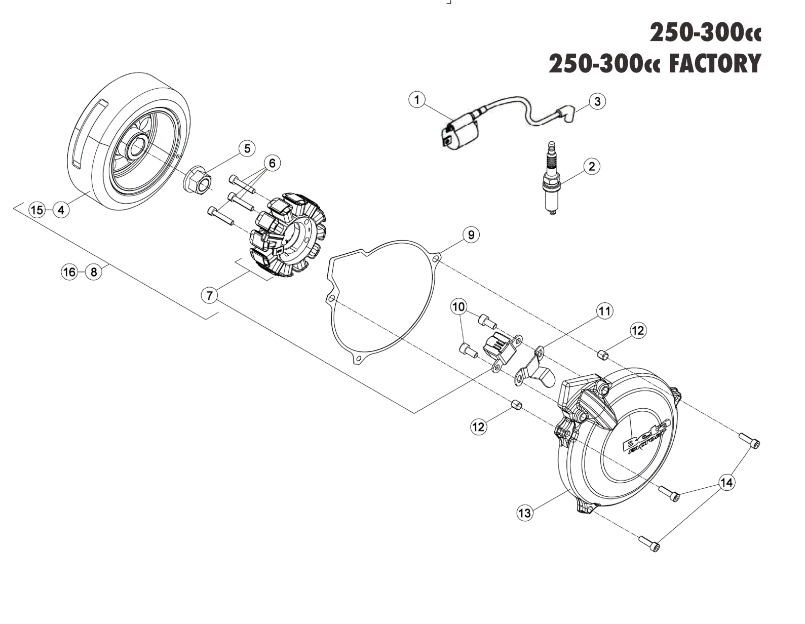 ENGINE ELECTRONICS 250-300