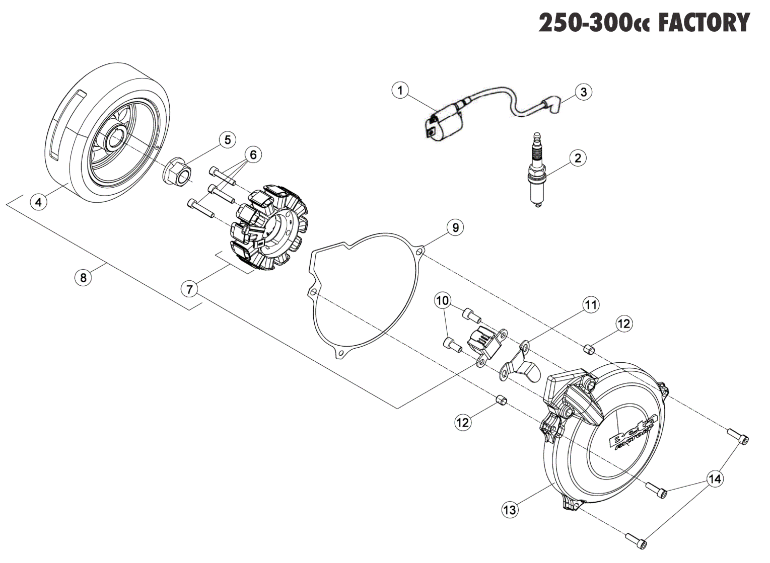 ENGINE ELECTRONICS 250-300