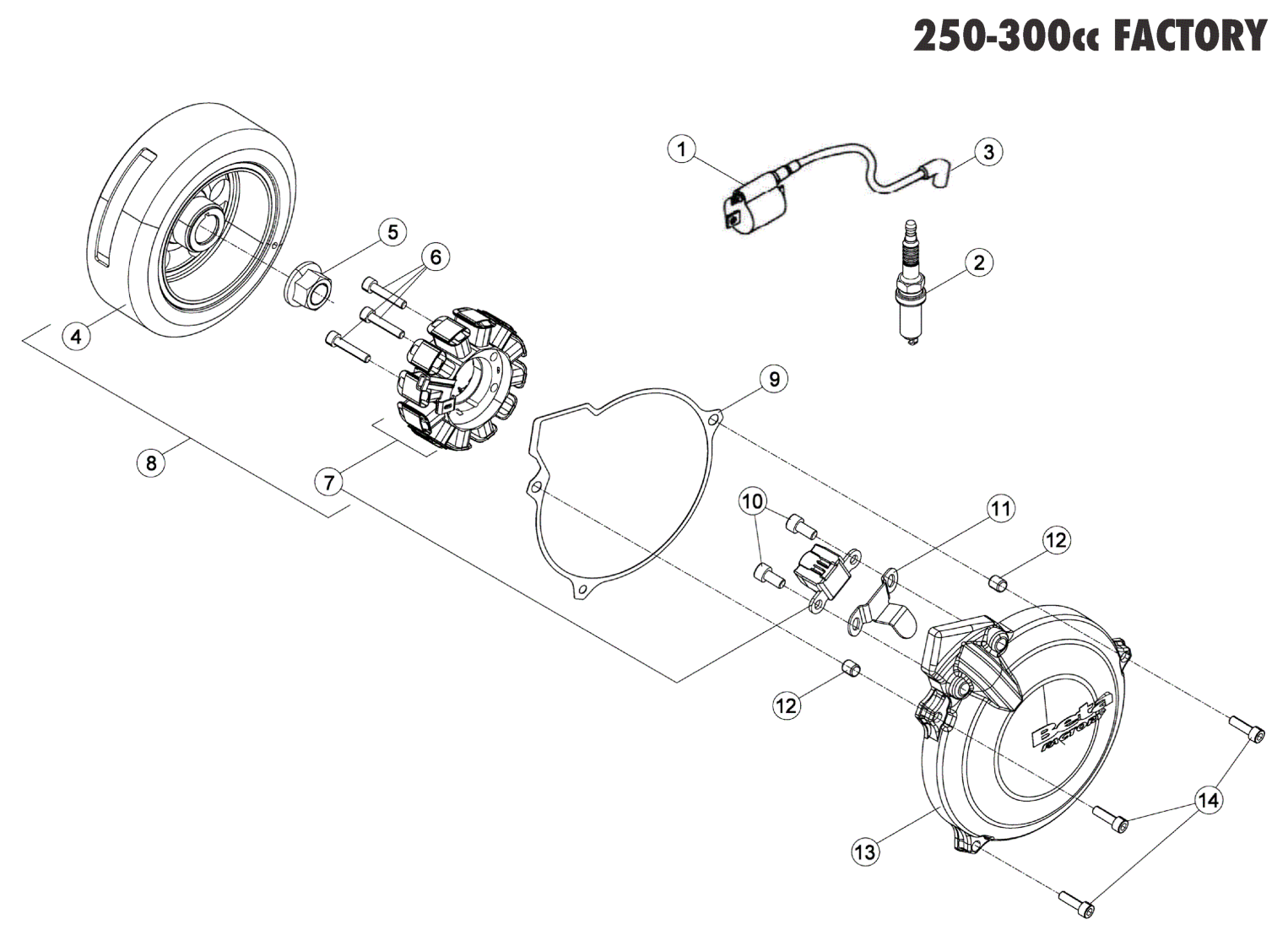 ENGINE ELECTRONICS 250-300