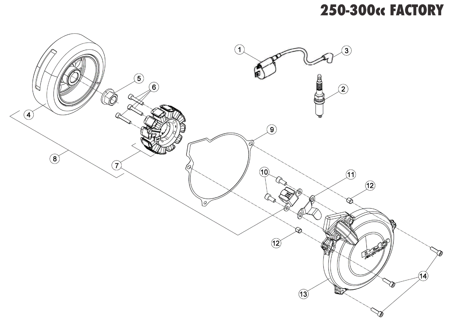 ENGINE ELECTRONICS 250-300