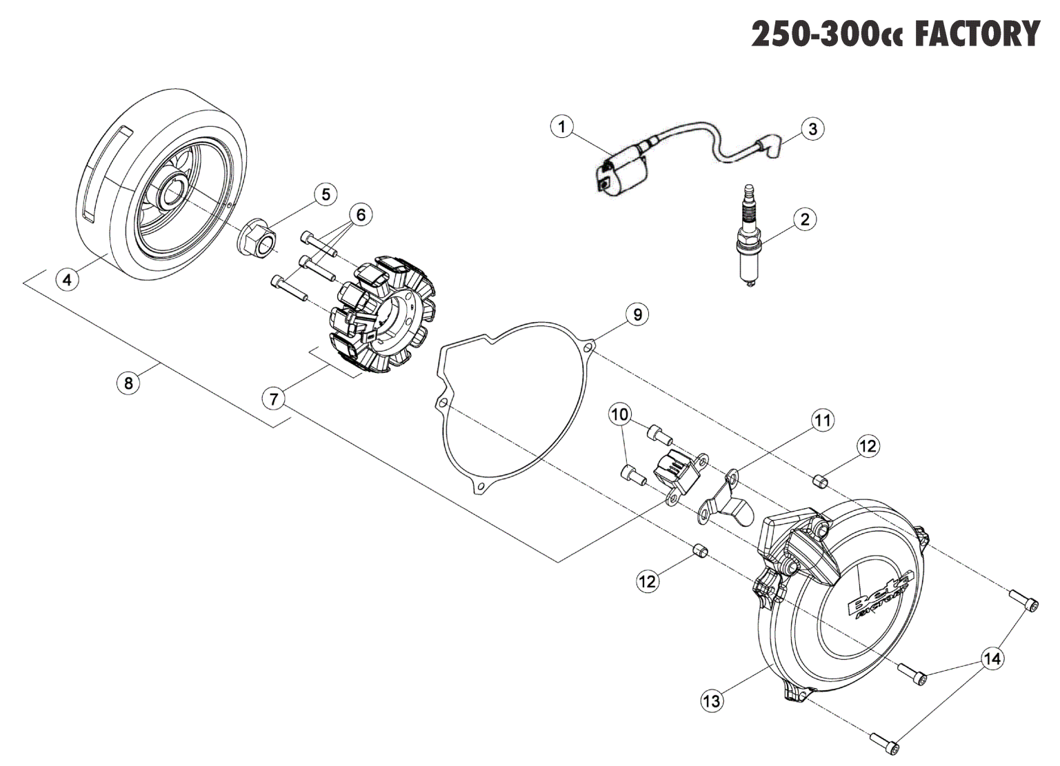 ENGINE ELECTRONICS 250-300