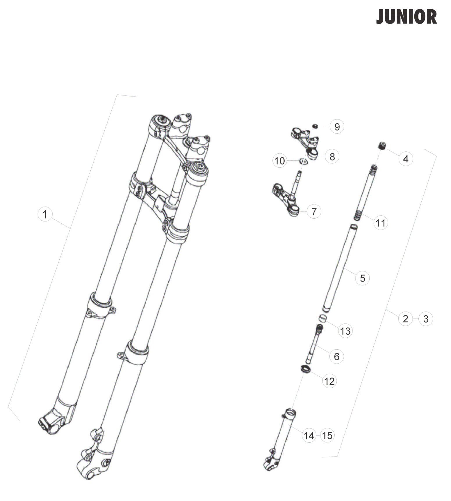 FRONT FORK (JUNIOR)