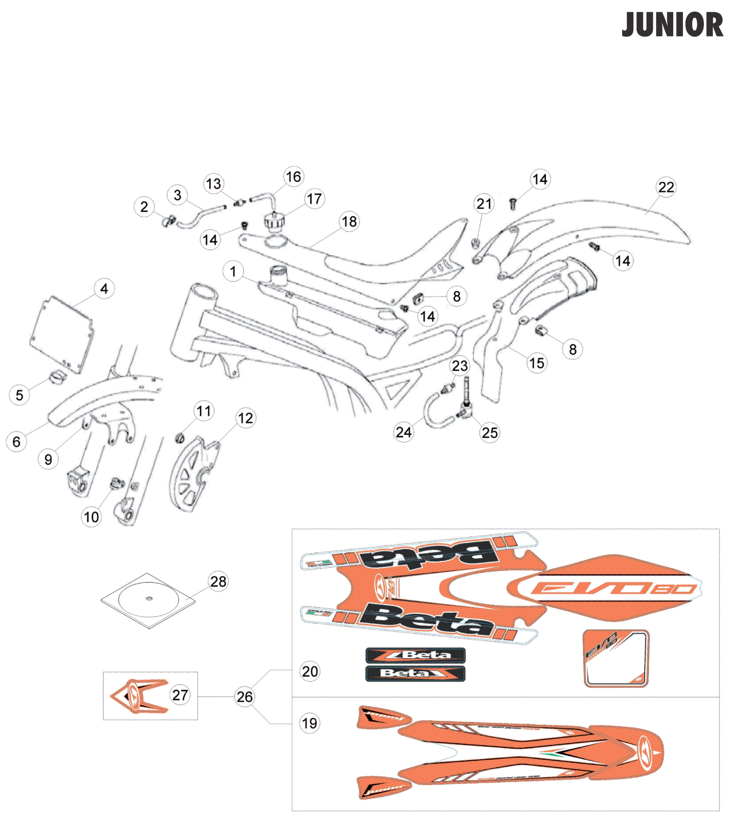 BODY - DECALS (JUNIOR)