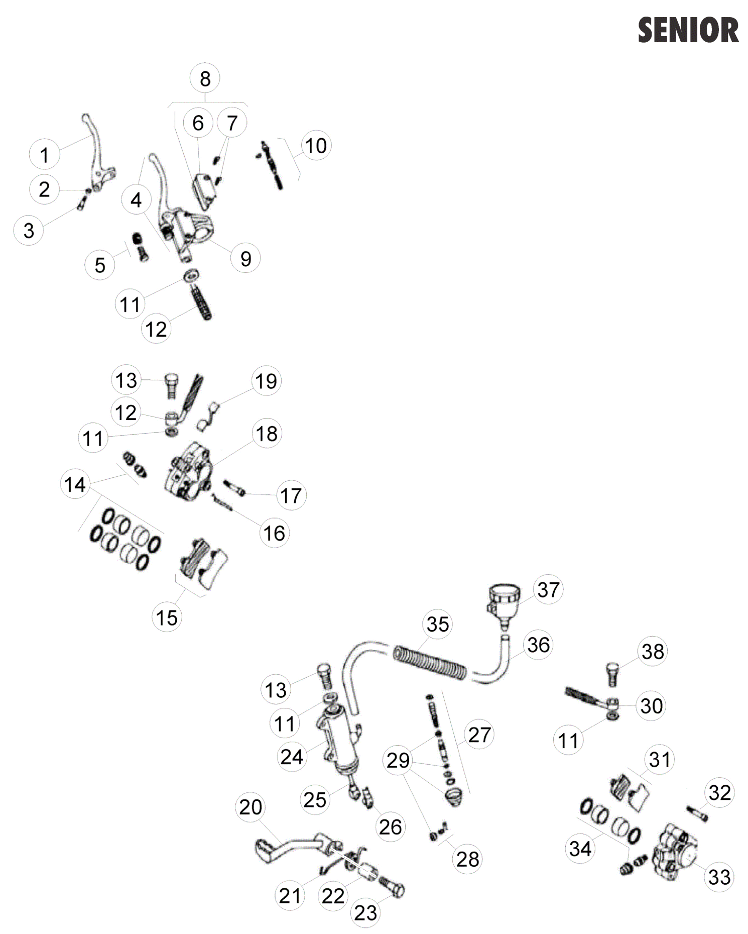 BRAKE SYSTEM (SENIOR)