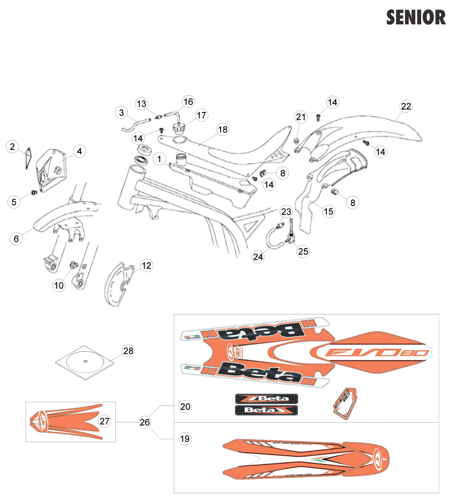 BODY - DECALS (SENIOR)