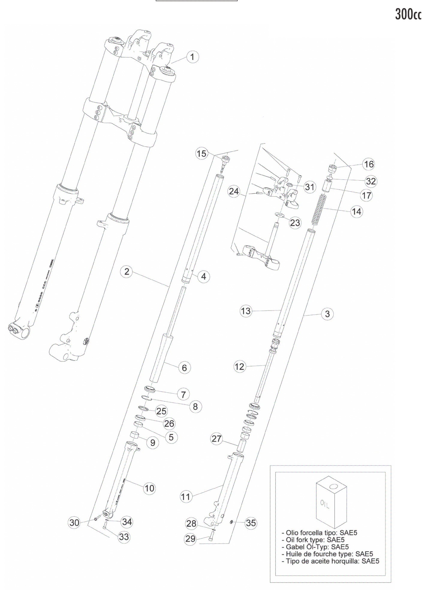 FRONT FORK (300)