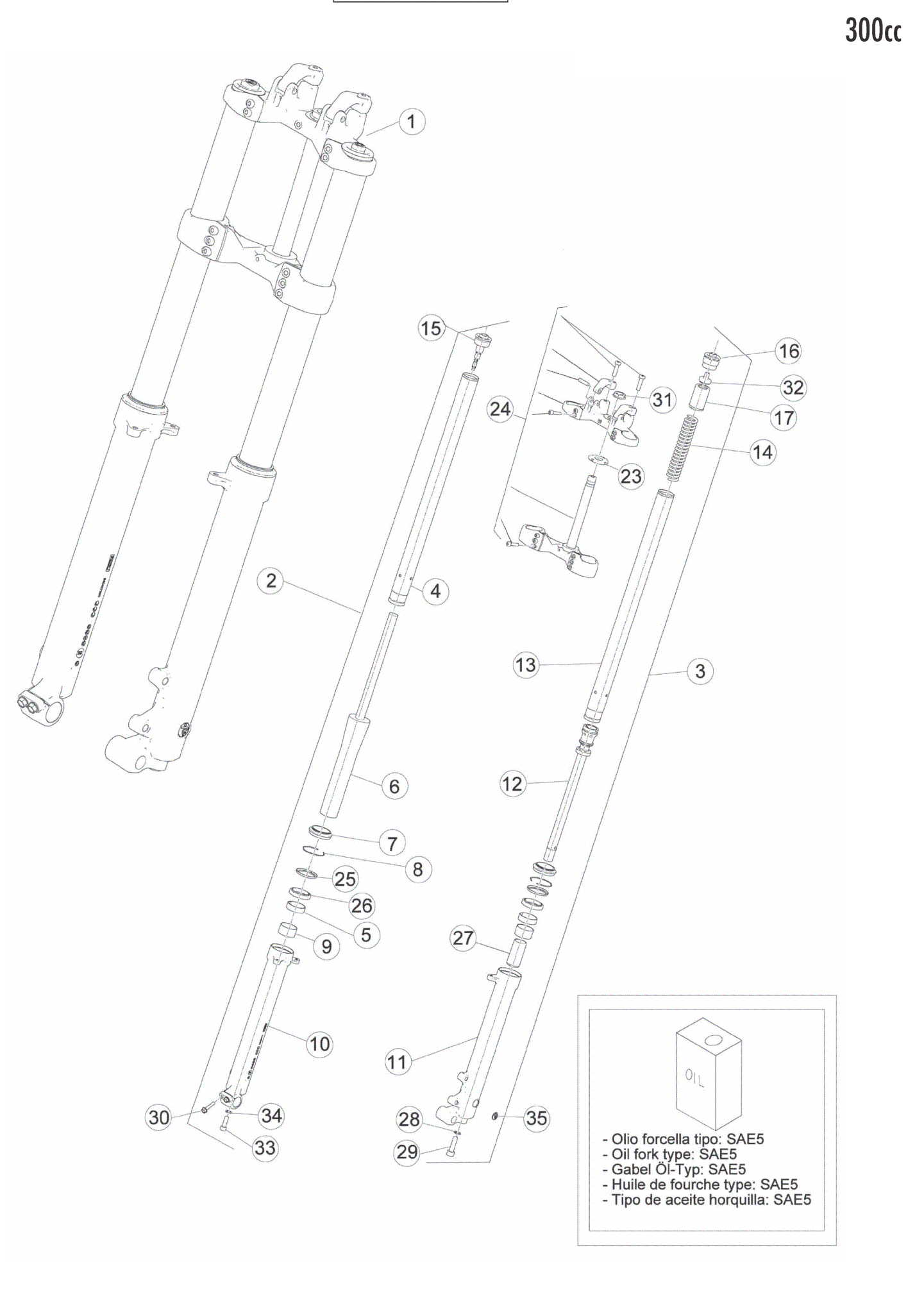 FRONT FORK (300)