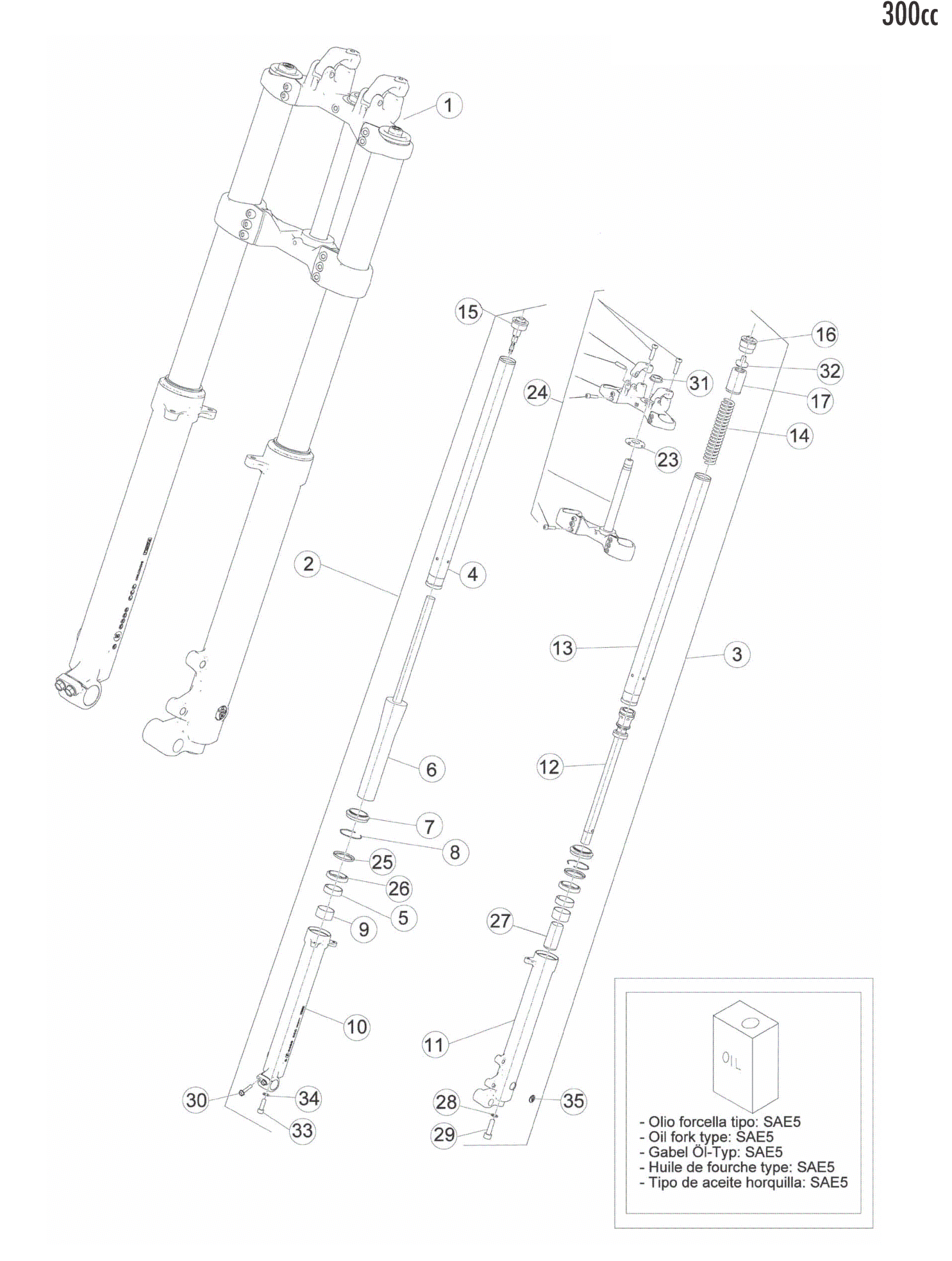 FRONT FORK (300)