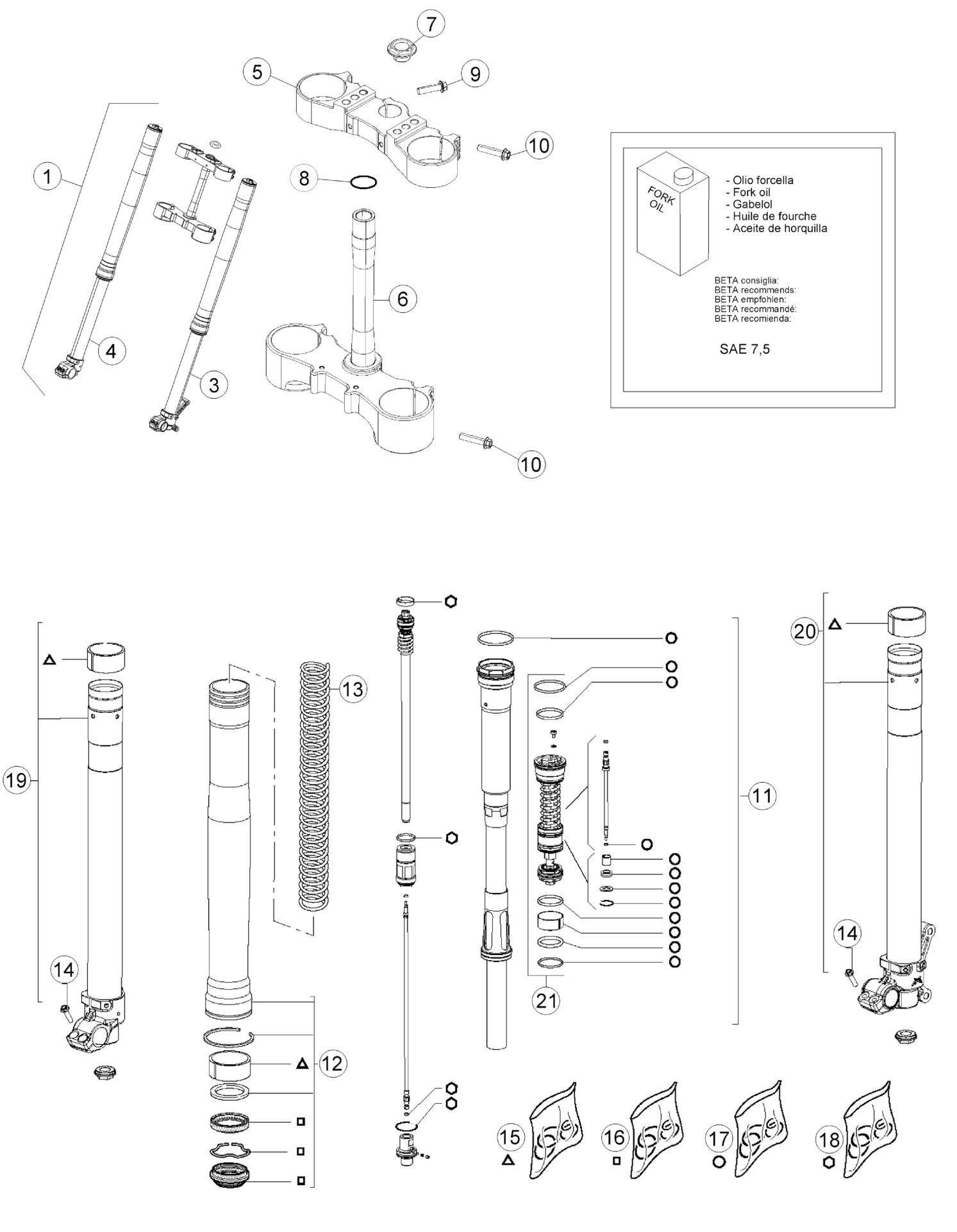 FRONT FORK (RACE)