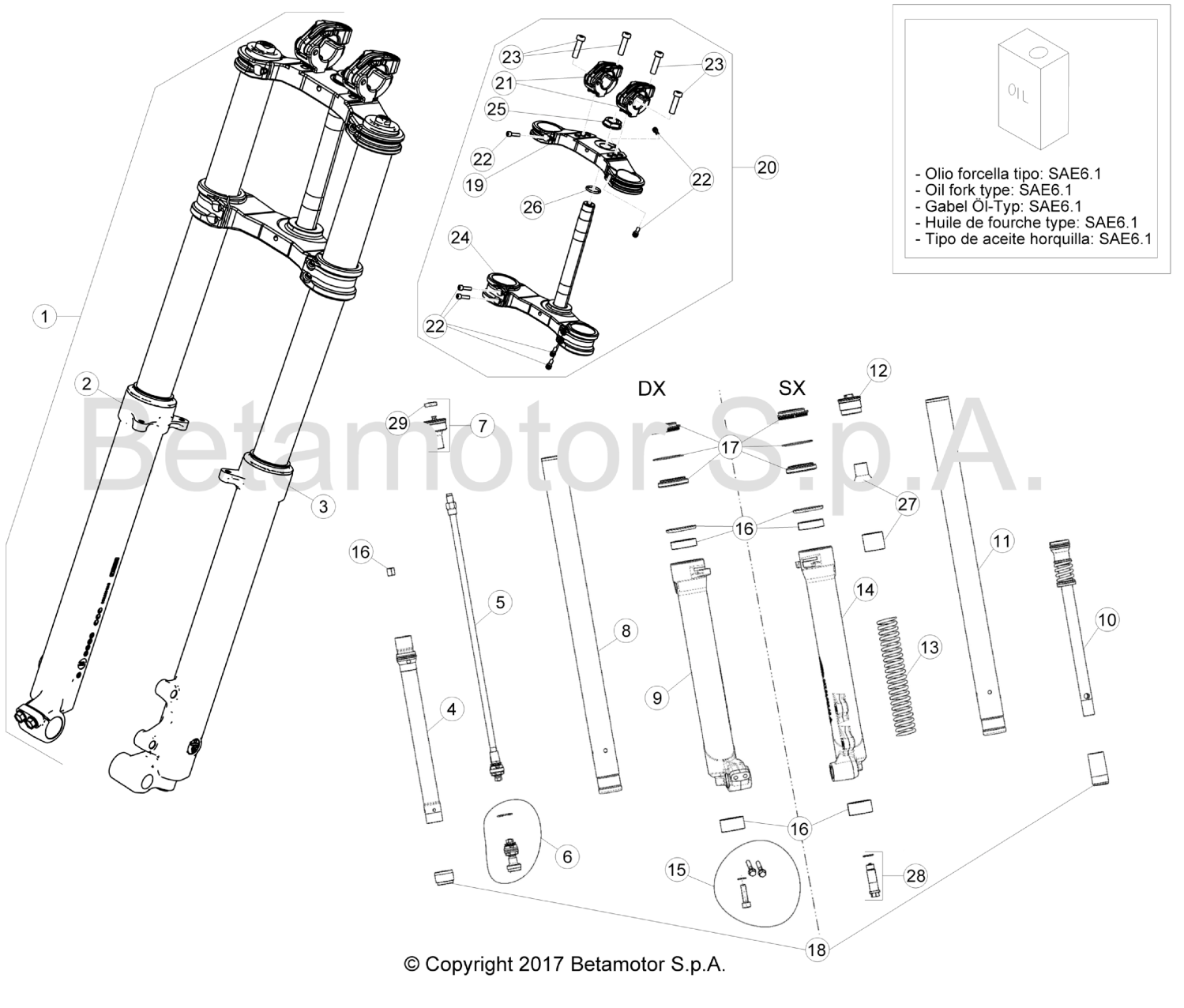 FRONT FORK (300) (SS)