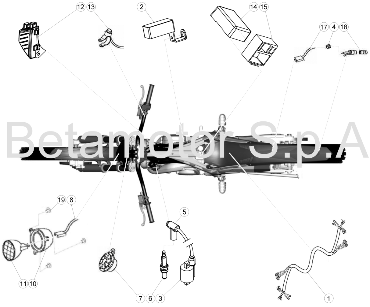 WIRING HARNESS STANDARD