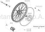 FRONT WHEEL (300) (SS)