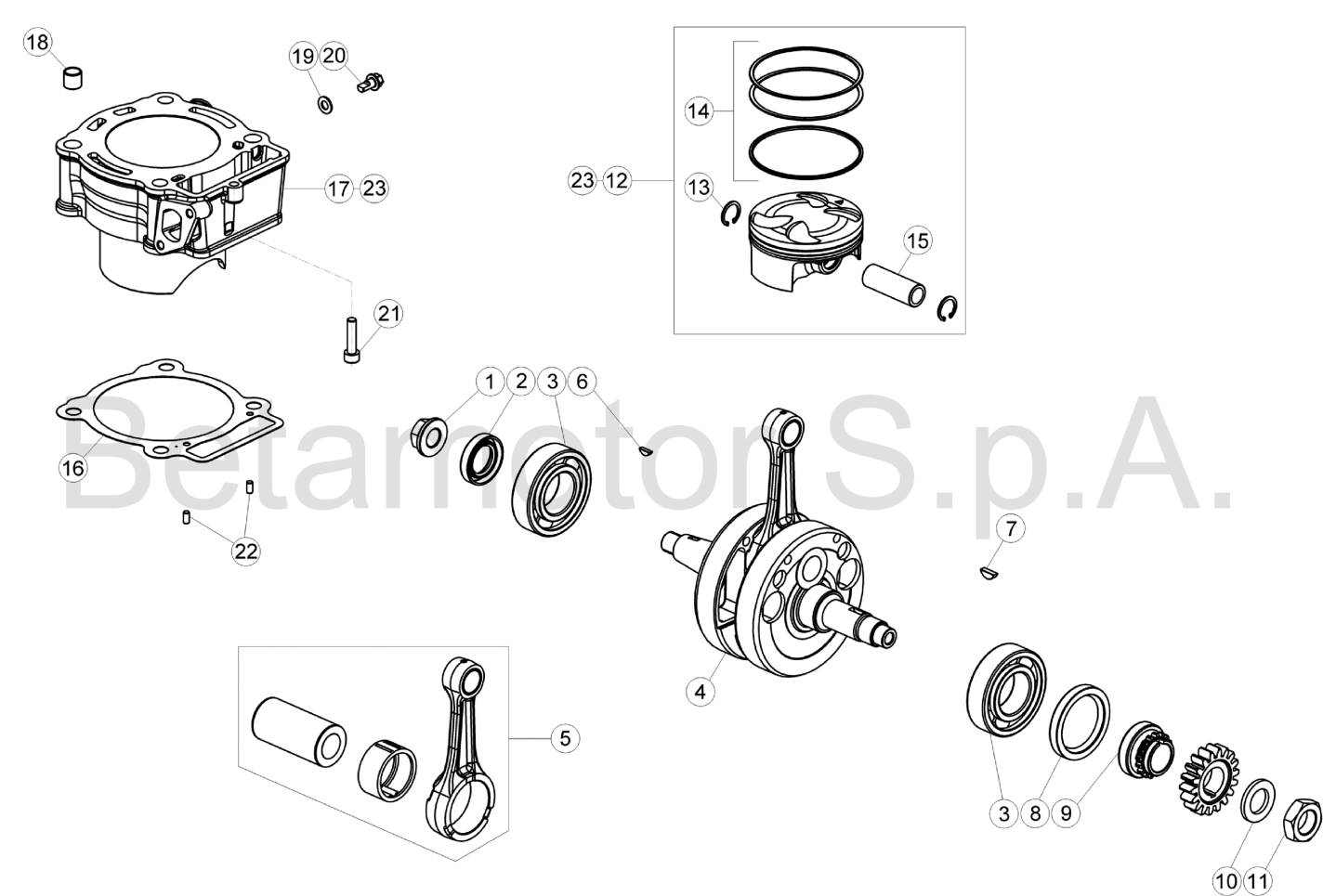 CRANKSHAFT - CYLINDER
