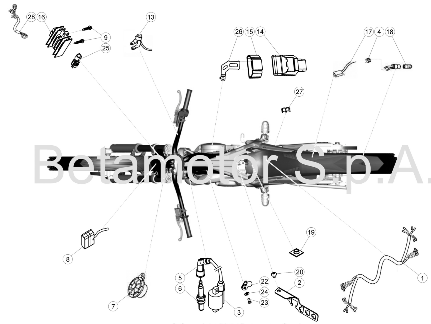 WIRING HARNESS STANDARD