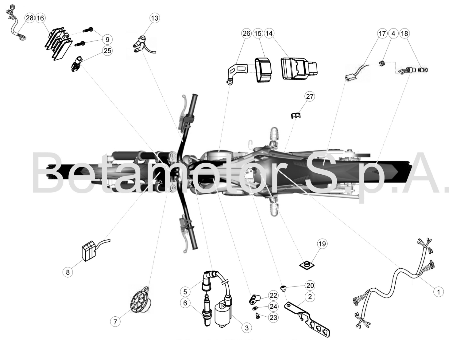 WIRING HARNESS STANDARD
