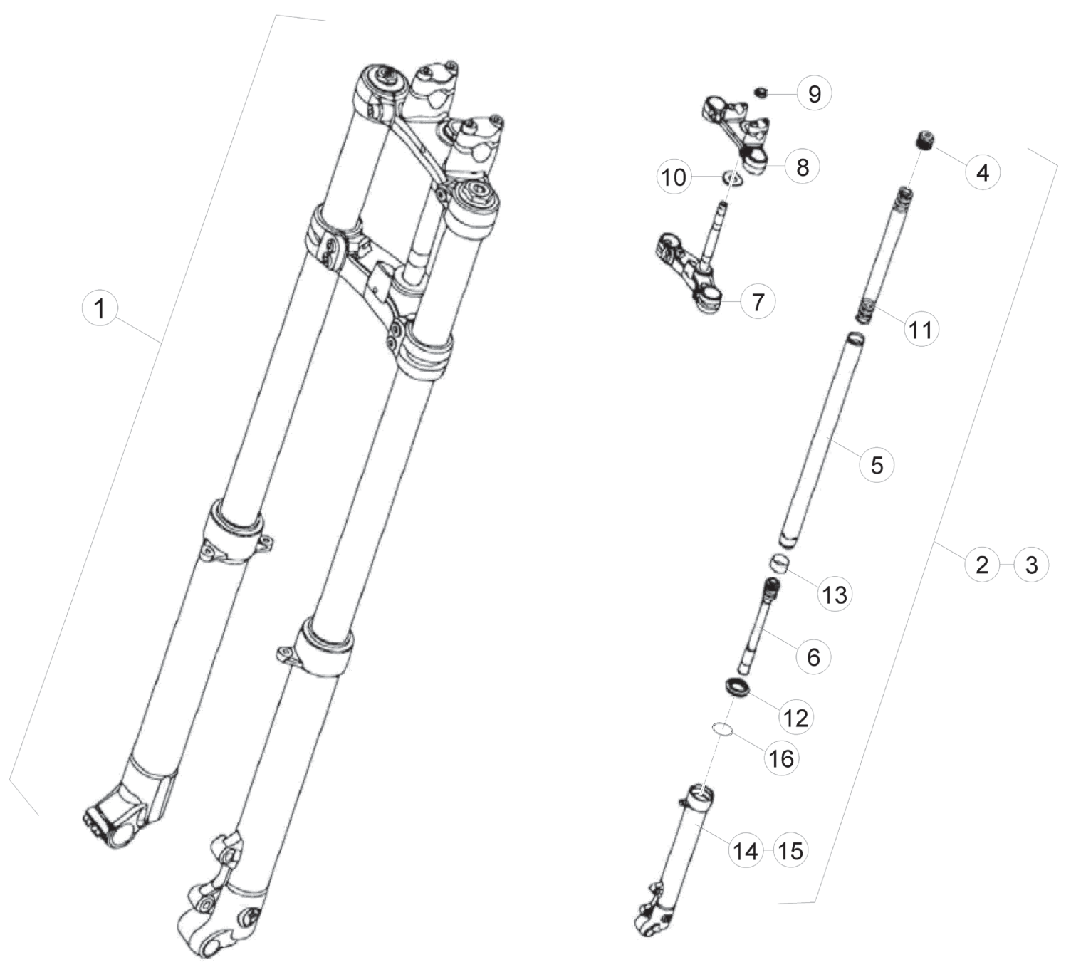 FRONT FORK (JUNIOR)