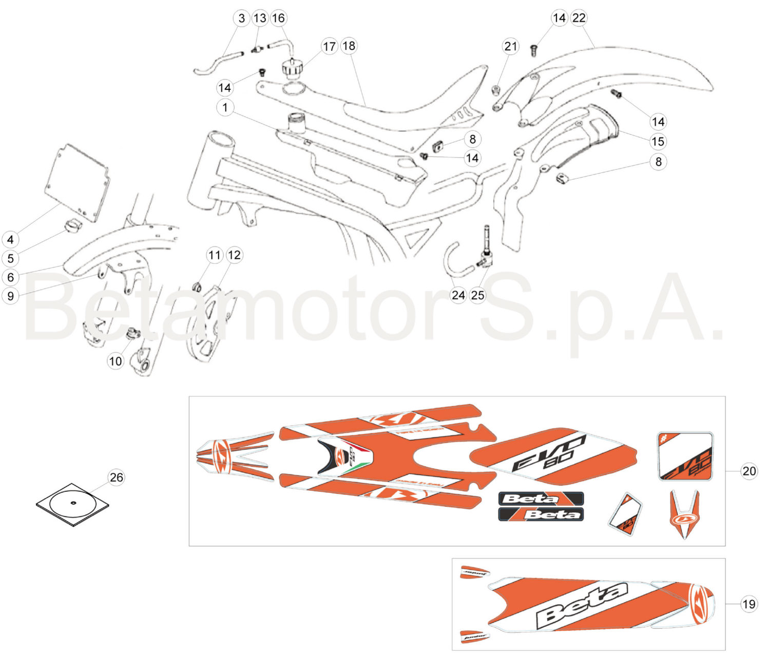 BODY - DECALS (JUNIOR)