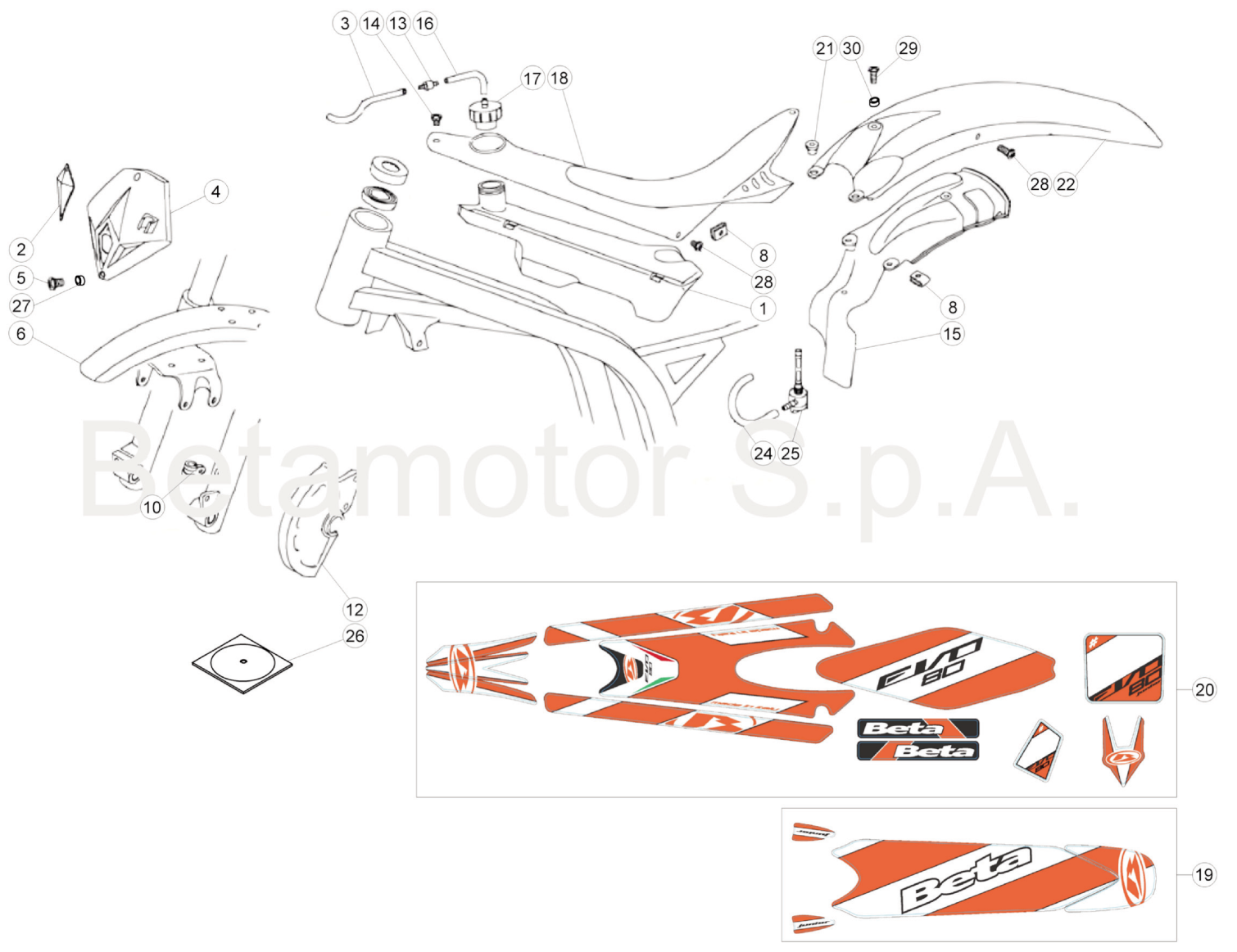BODY - DECALS (SENIOR)