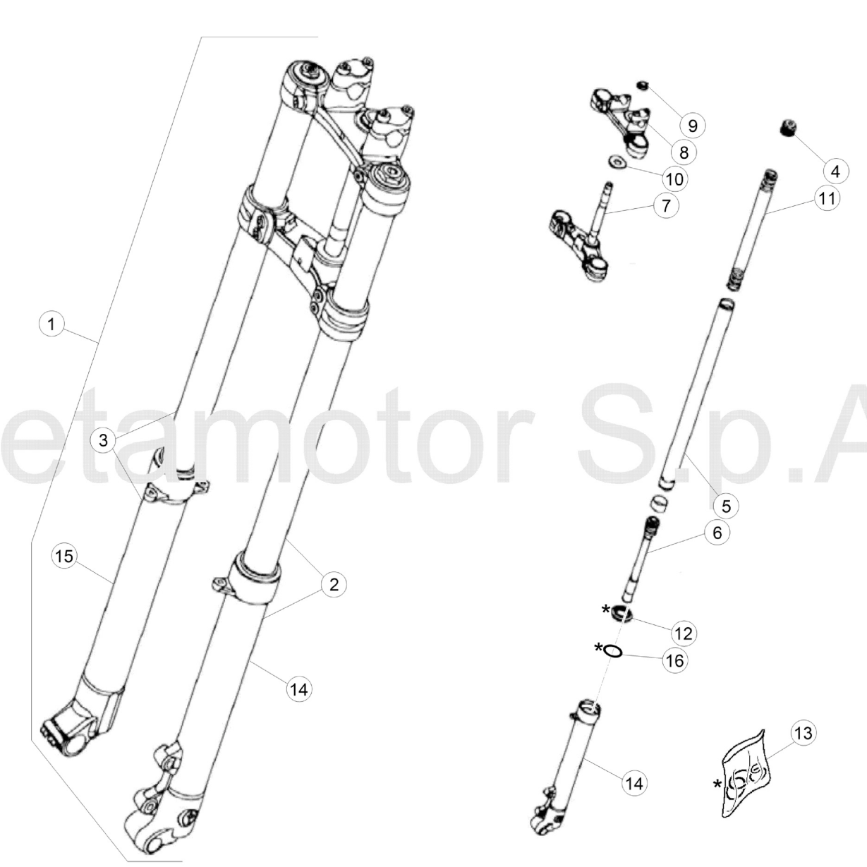 FRONT FORK (JUNIOR)