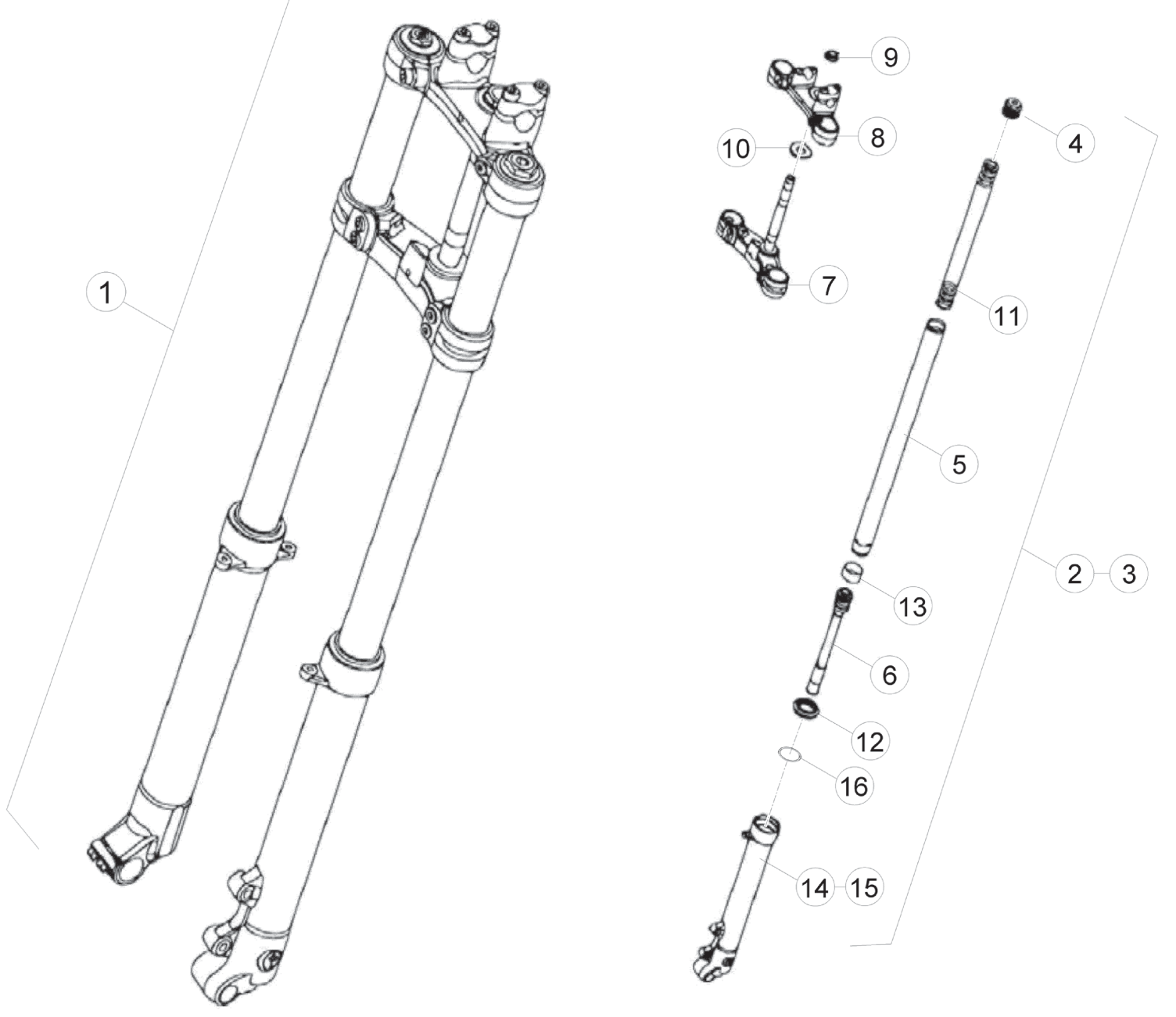 FRONT FORK (JUNIOR)
