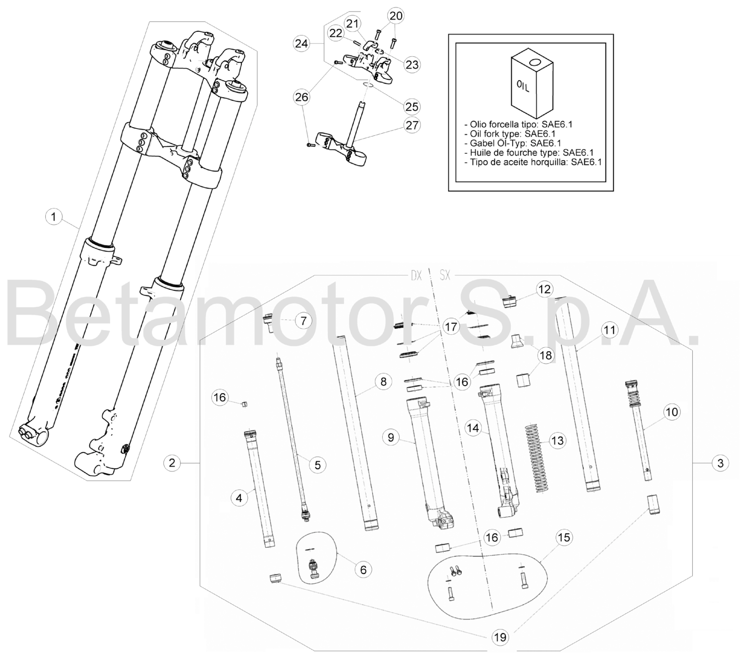 FRONT FORK (SENIOR)