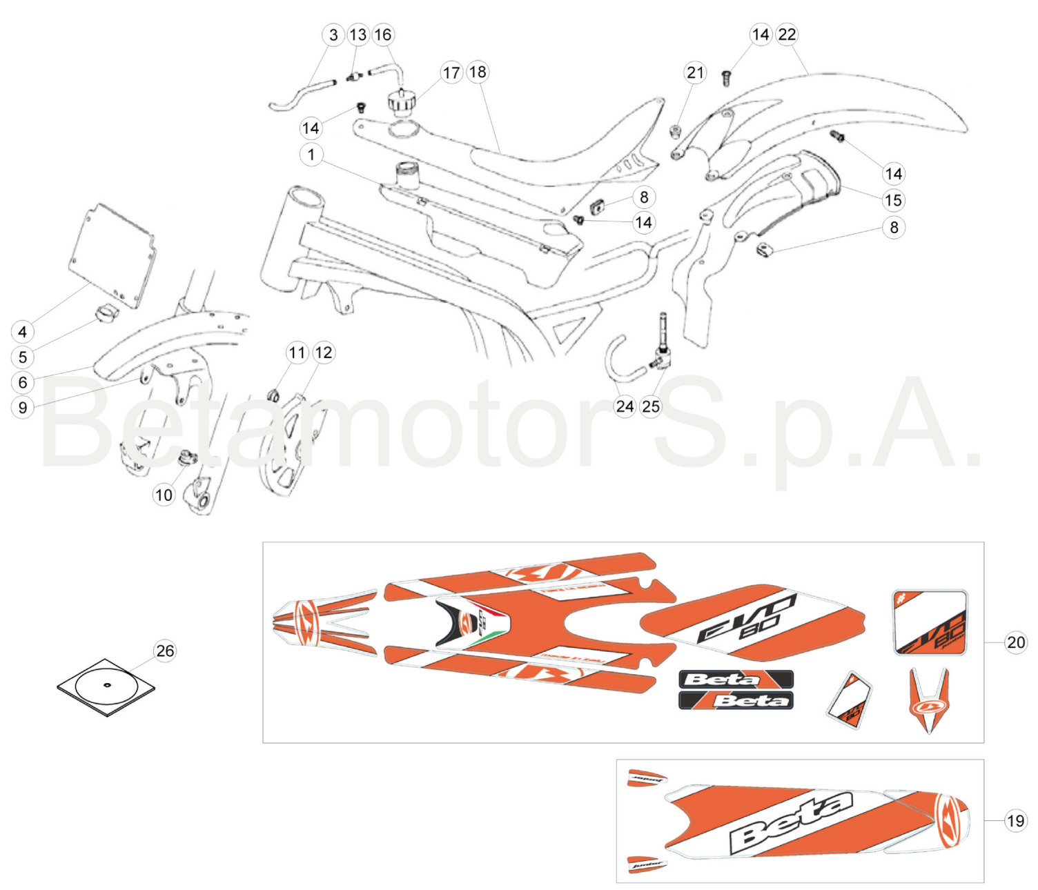BODY - DECALS (JUNIOR)