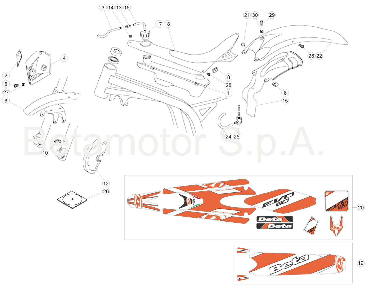 BODY - DECALS (SENIOR)