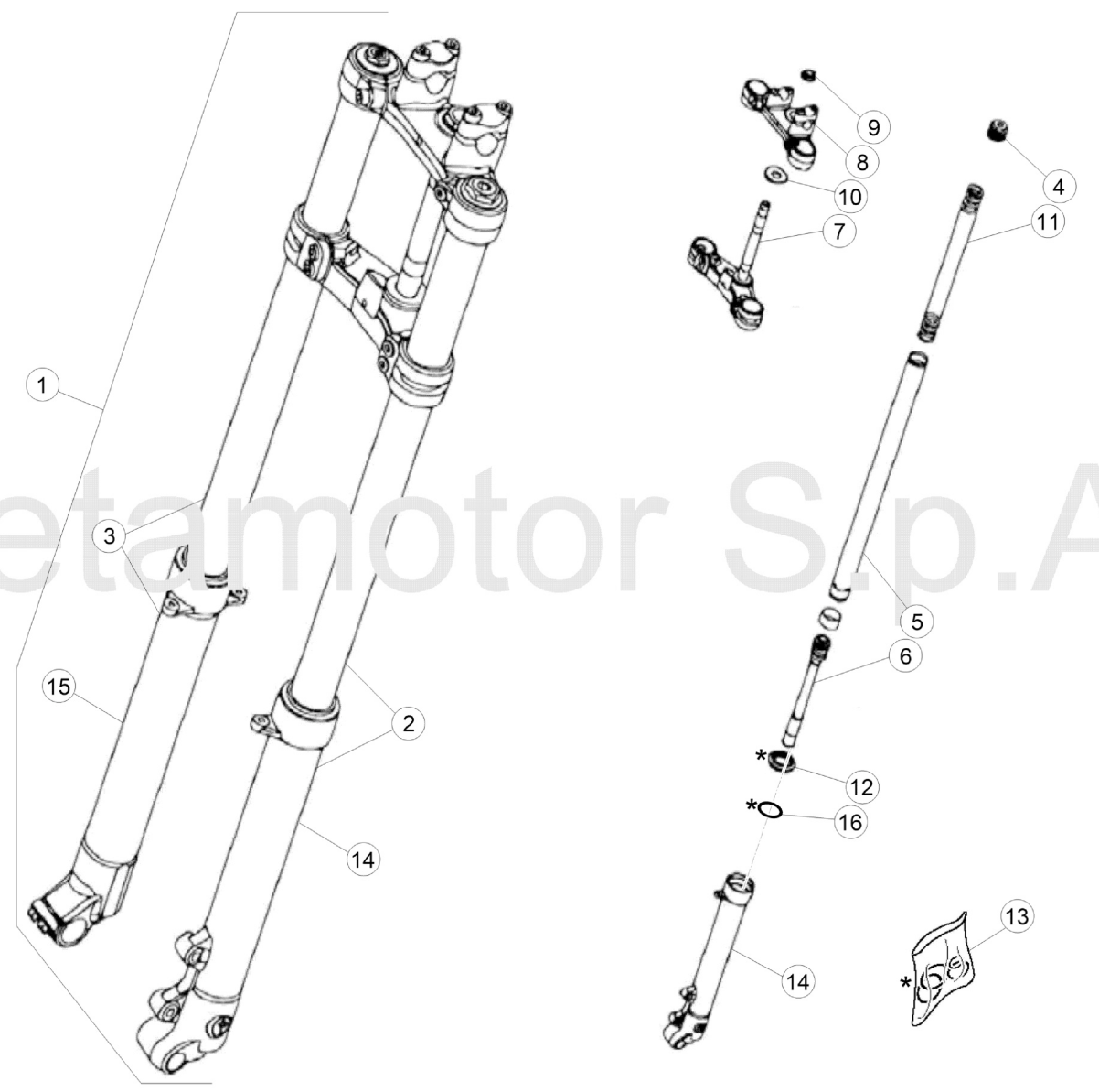 FRONT FORK (JUNIOR)